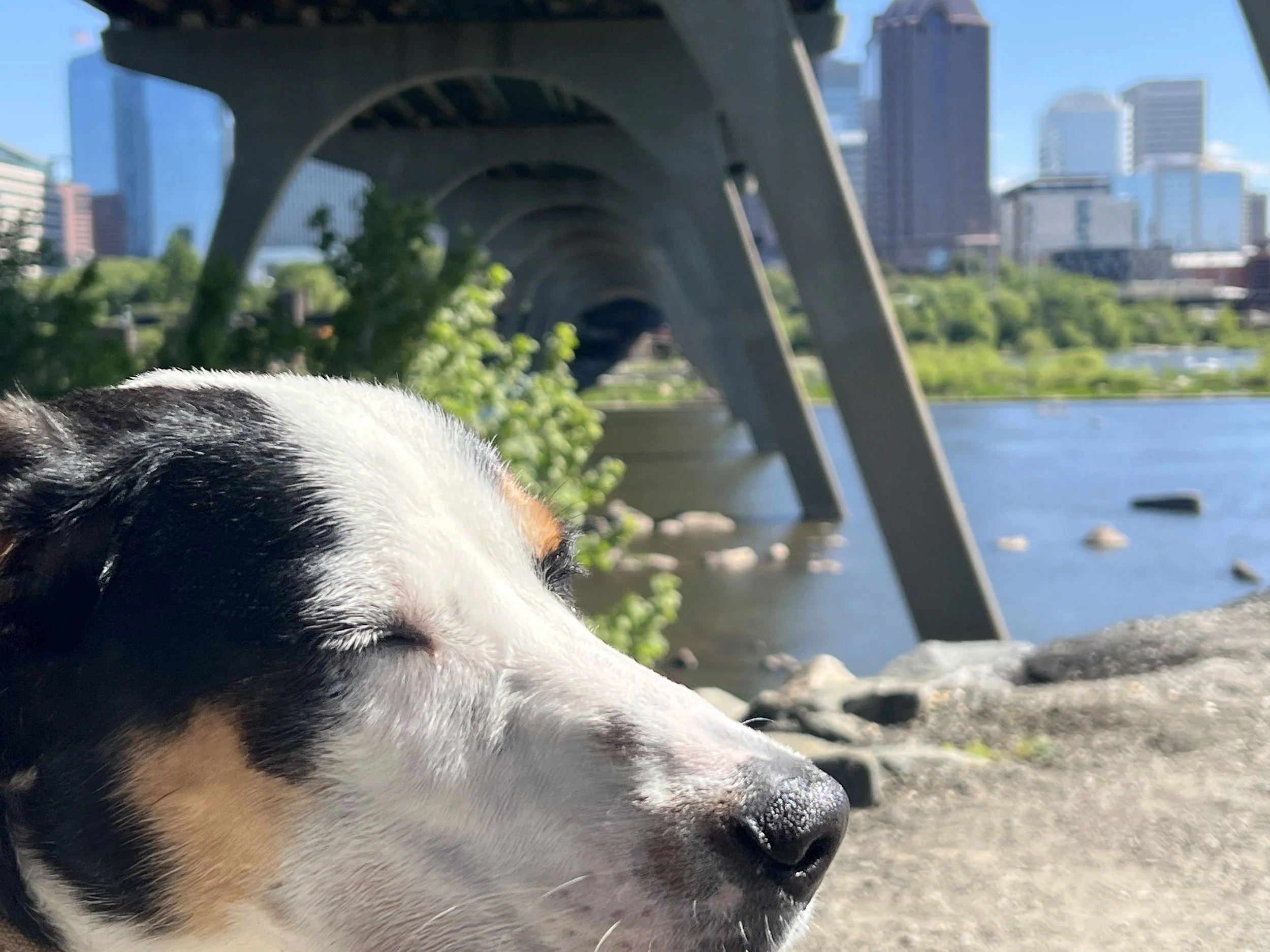 q under bridge.jpeg
