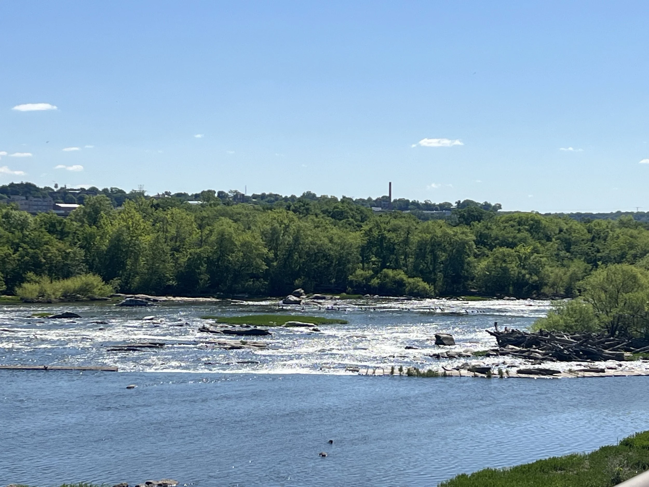 river photo.jpeg