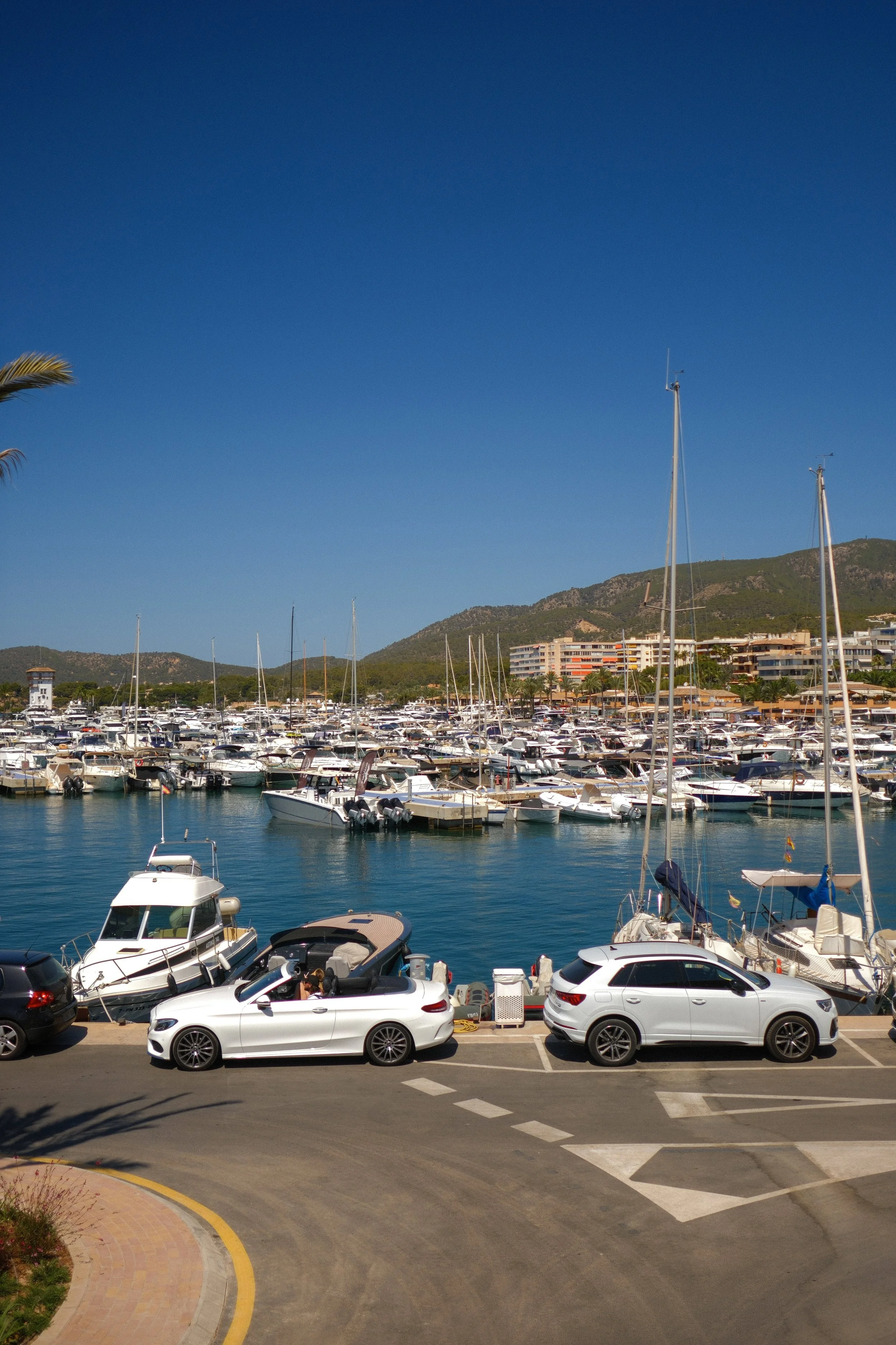6-DSCF1563.jpg