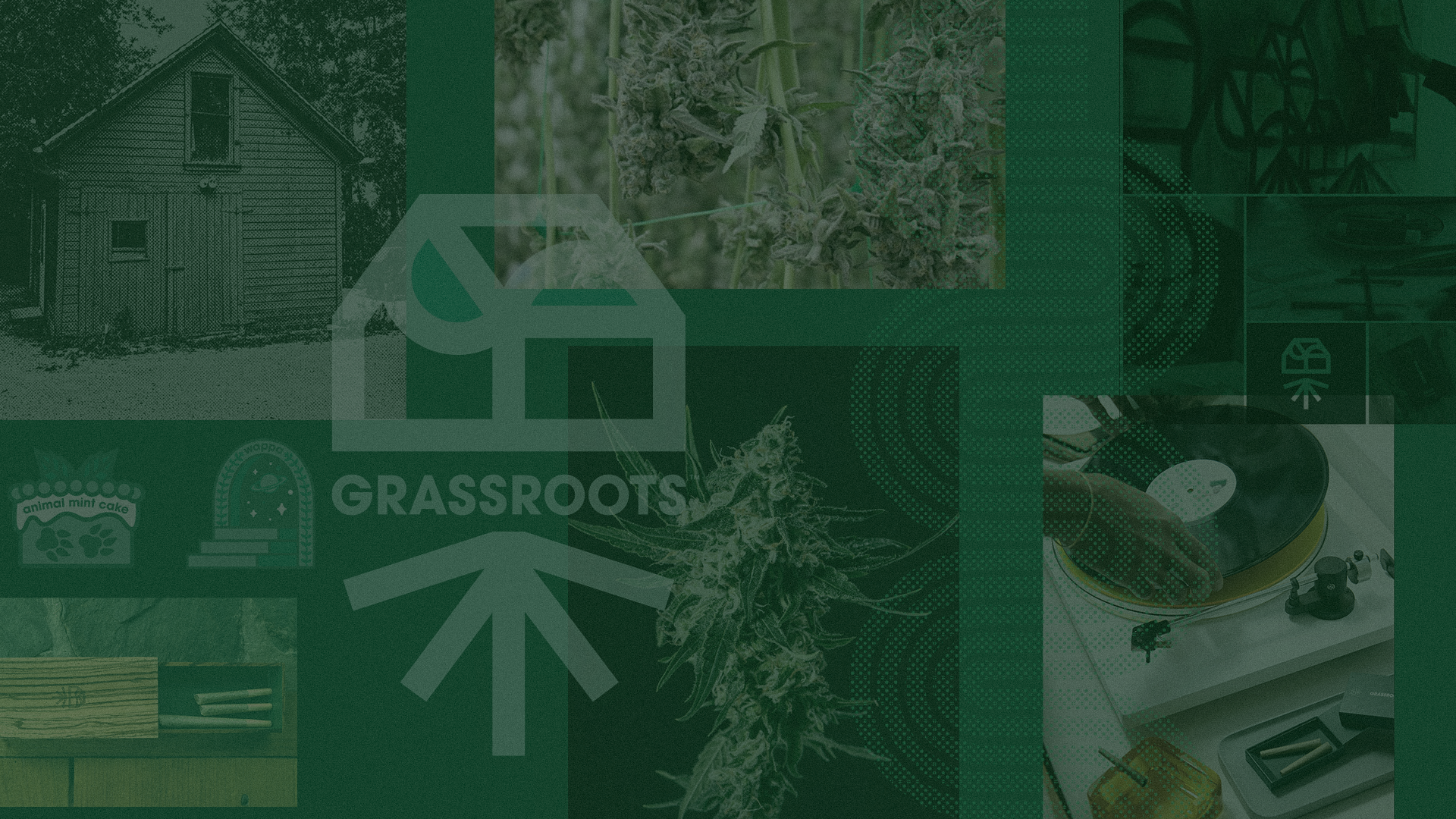 A collage of various images related to cannabis cultivation and use, including a house, cannabis buds, a cannabis plant, a grinder, and a weighing scale.