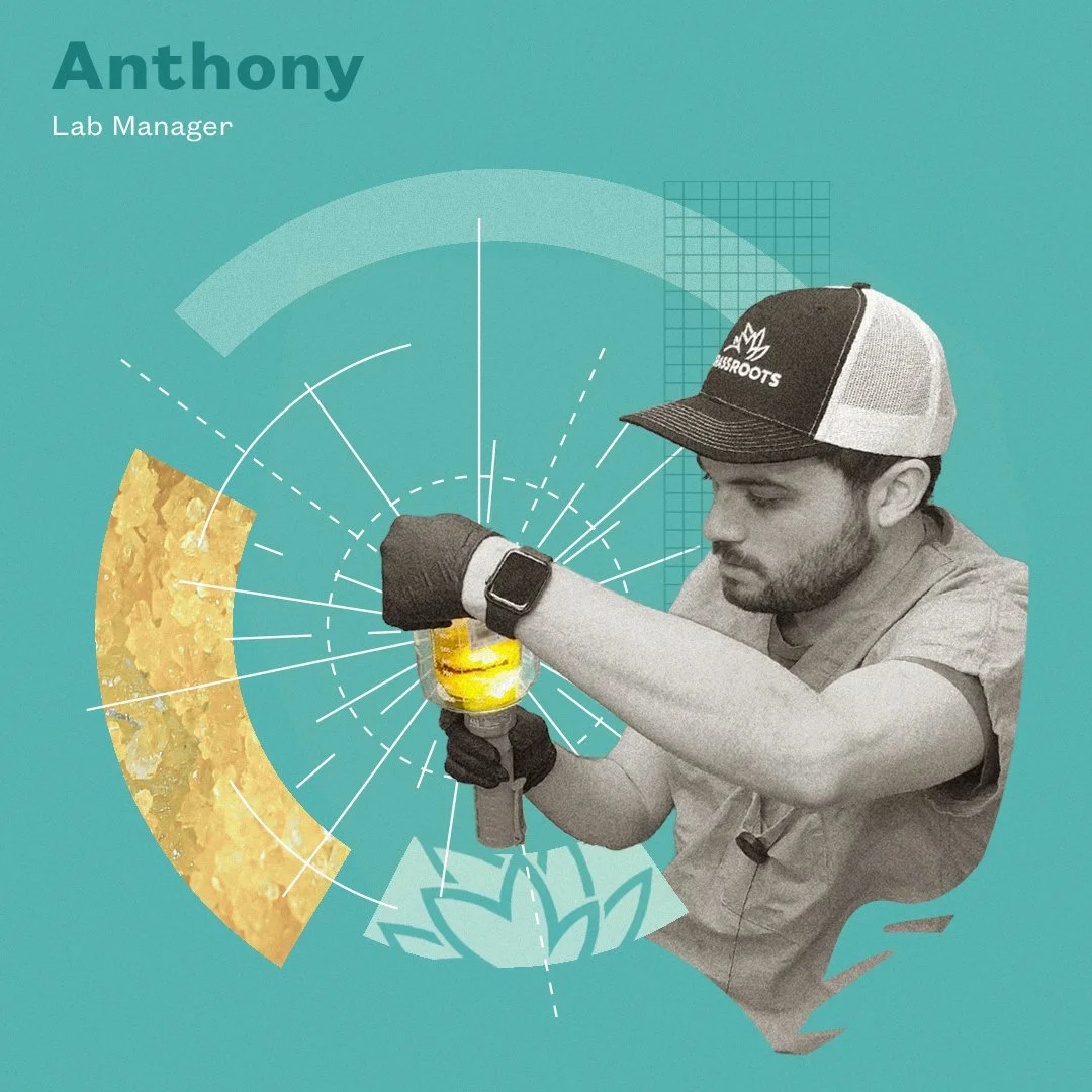 Graphic design featuring a man inspecting a yellow liquid in a beaker, wearing a hat with a nature logo, digital interface elements in the background, and the name 'Anthony' as Lab Manager.