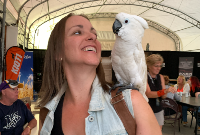 Stop Marketing to Everyone