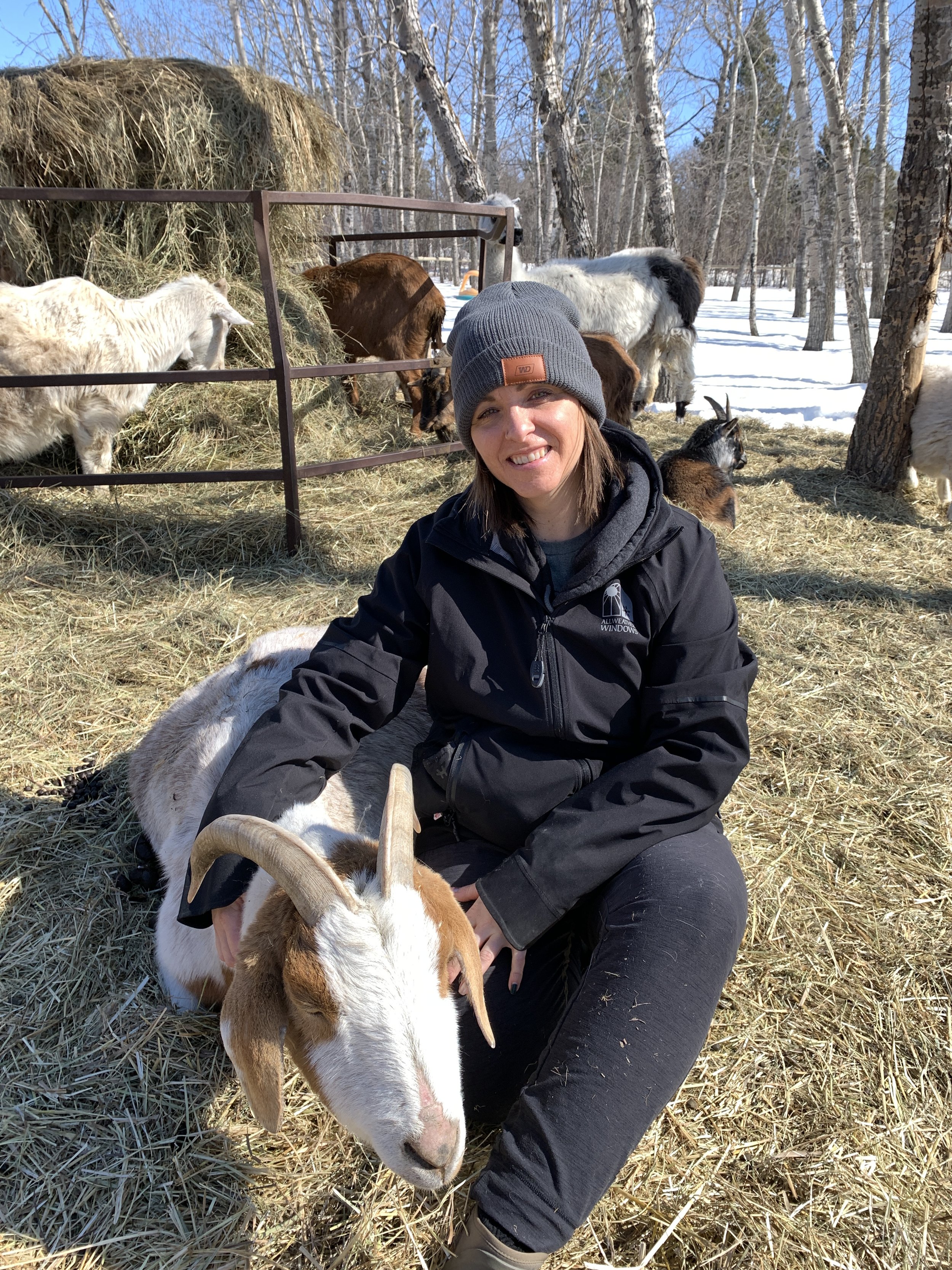Megan Deaust sitting in a hay-covered area outdoors with a white and brown goat named Finn resting its head on her lap, surrounded by other goats and animals, with snow and leafless trees in the background.