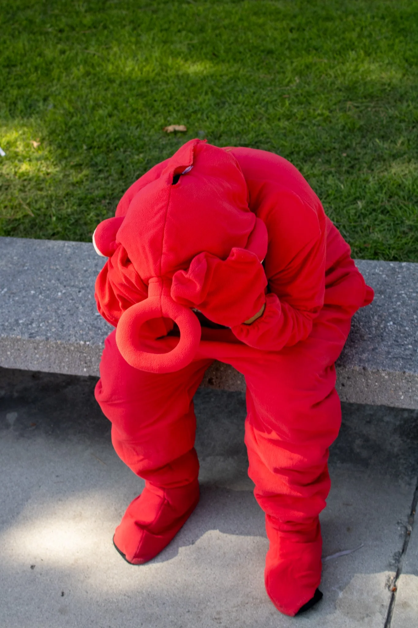 _MG_4853.jpg