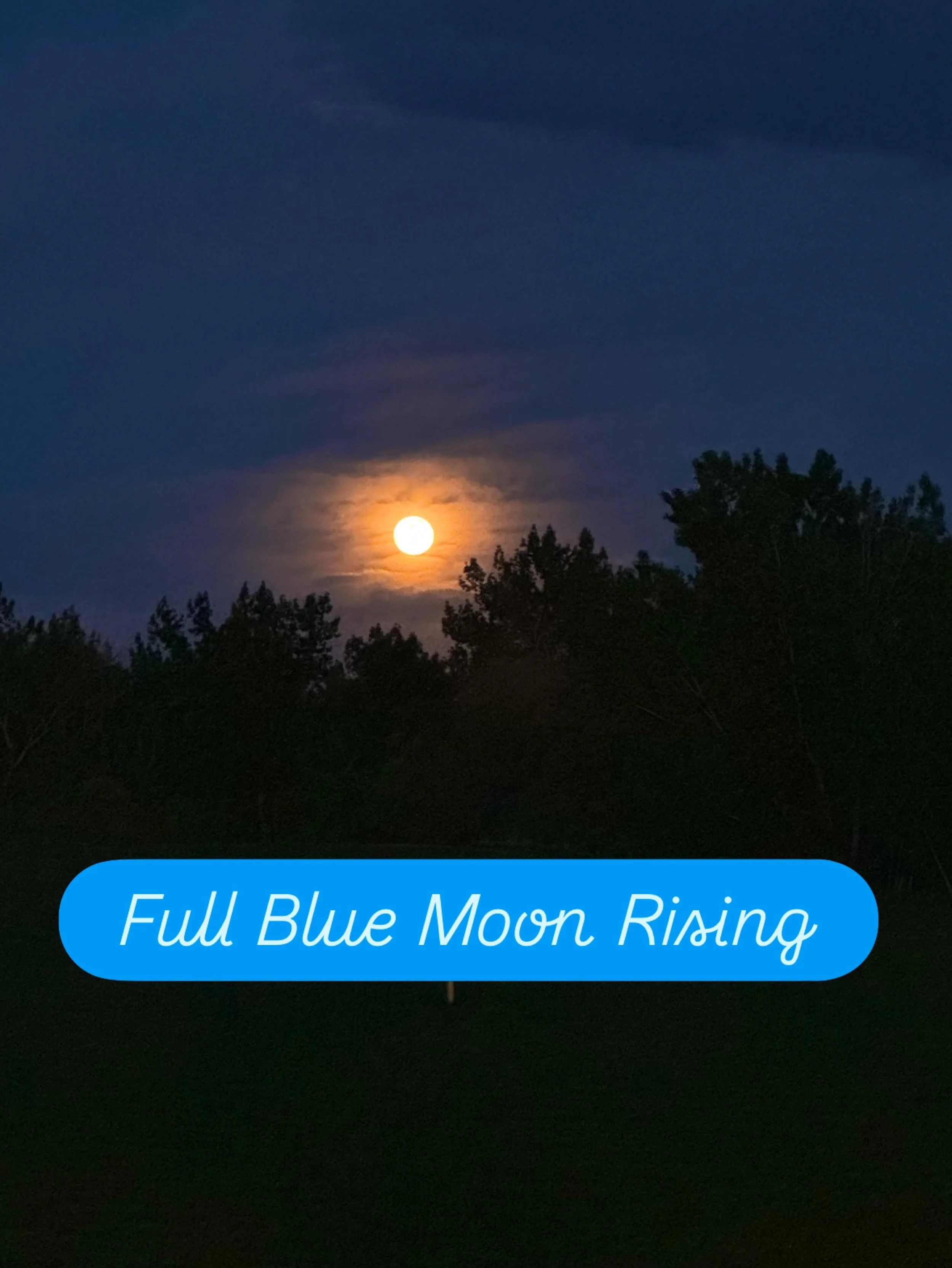 So thankful for a clear sky and open space to catch the Full Blue Moon in Sagittarius rising last night down at the Botanic Gardens at Chatfield Farms! Anyone else have crazy dreams? What are you releasing and finally speaking up about with this Blue