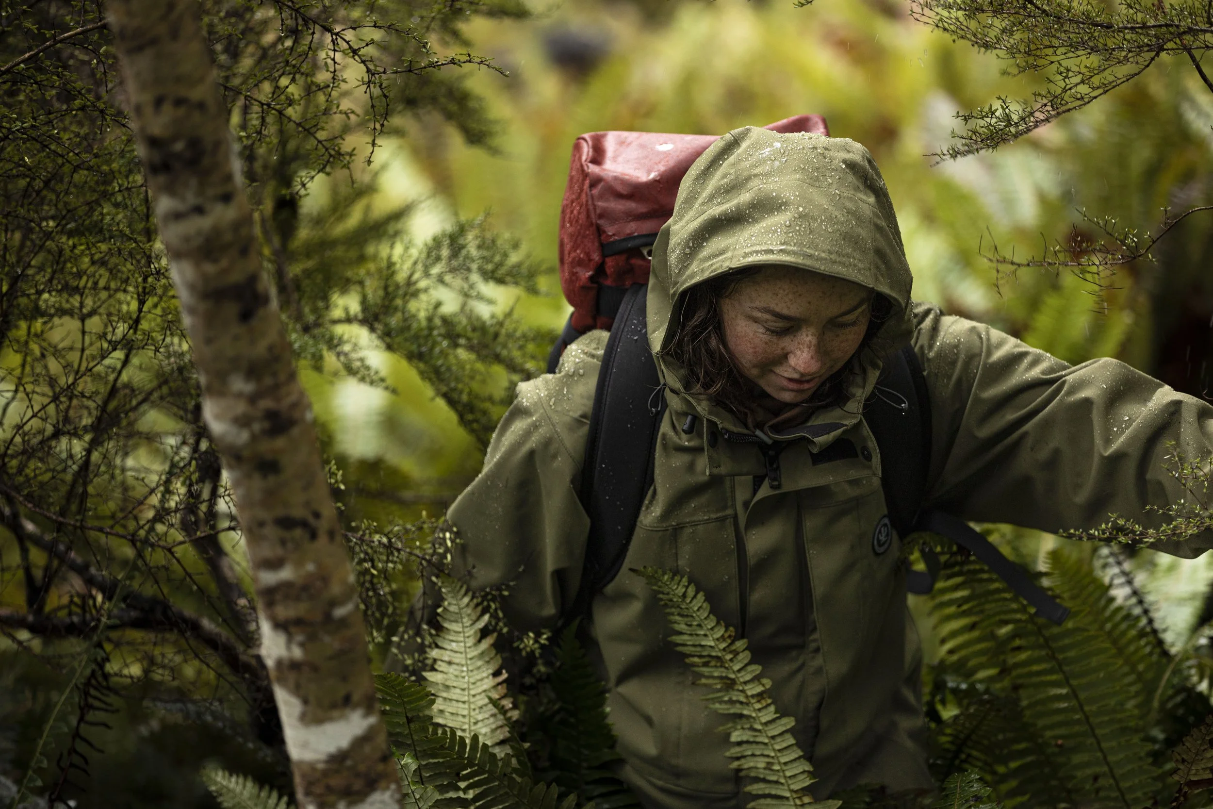 A person wearing a green rain jacket and a hood, with a red backpack, navigating through a dense, wet forest with ferns and trees.