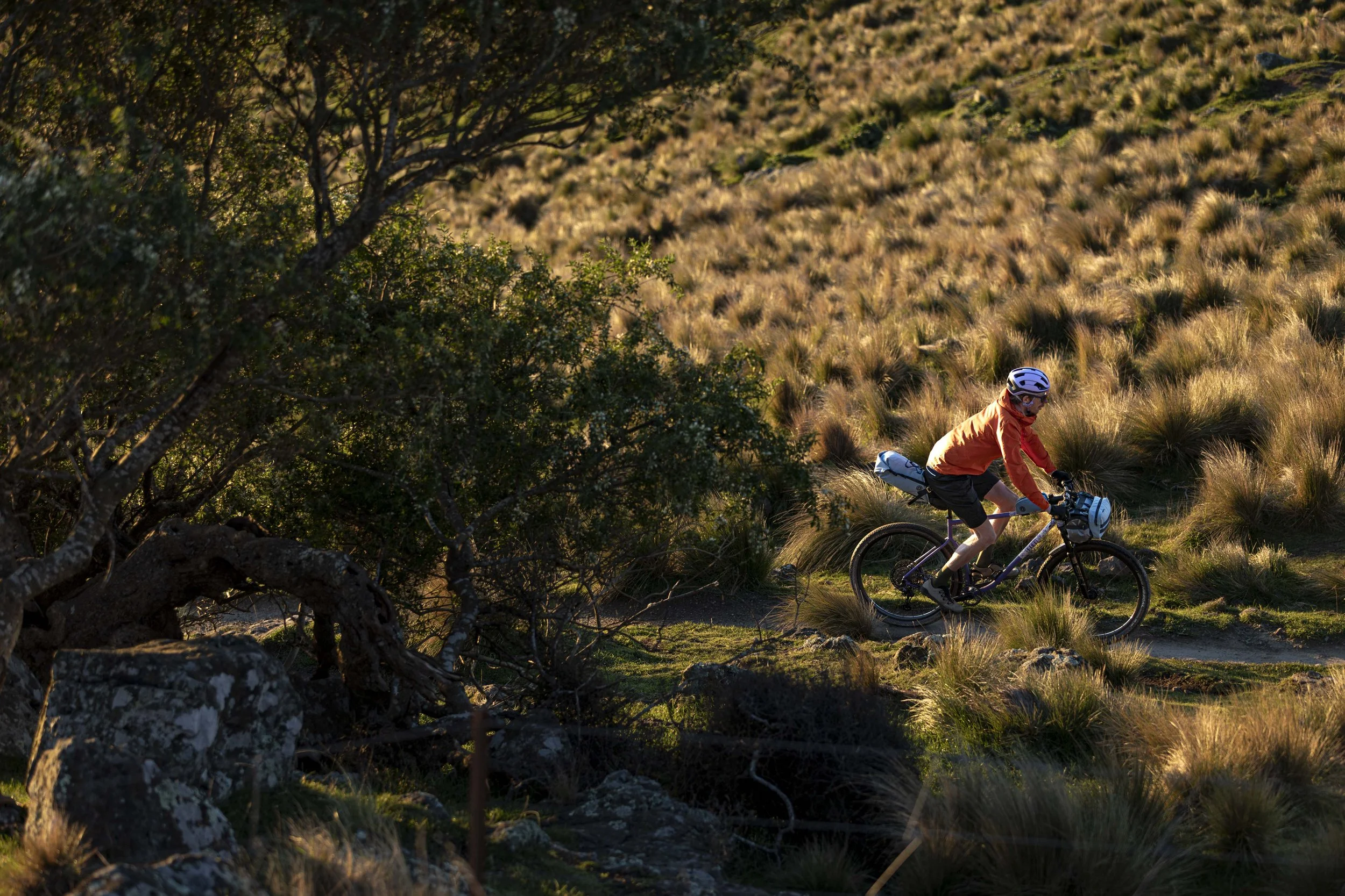 BIKE.LOVEHANDLE.CRVS-1.jpg