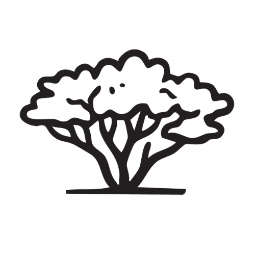 A simple black and white line drawing of a tree with a broad, rounded canopy and multiple branches.