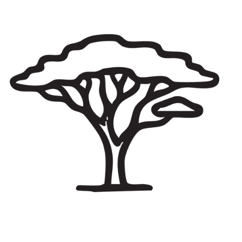 Simple black line drawing of an acacia tree with a wide, flat canopy and a thick trunk.