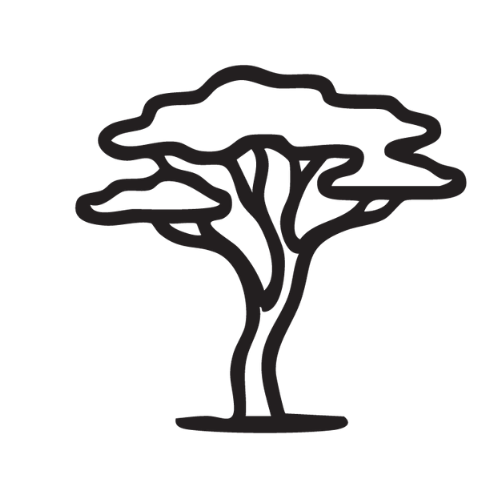 Outline drawing of a tree with a thick trunk and expansive canopy.