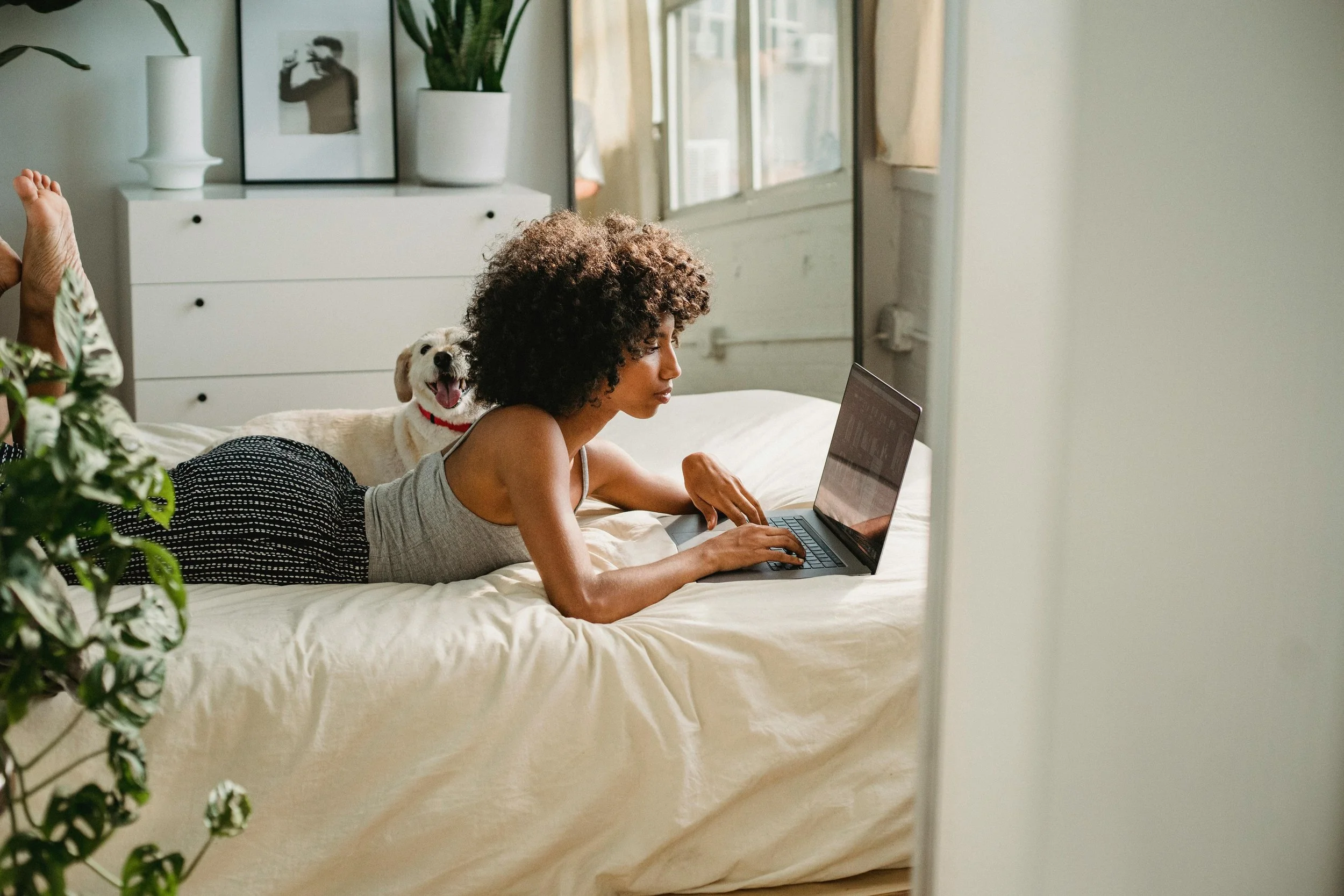 A woman lying on her stomach on a bed typing on a laptop, with a dog sitting behind her, in a softly lit bedroom with a dresser and framed artwork in the background.