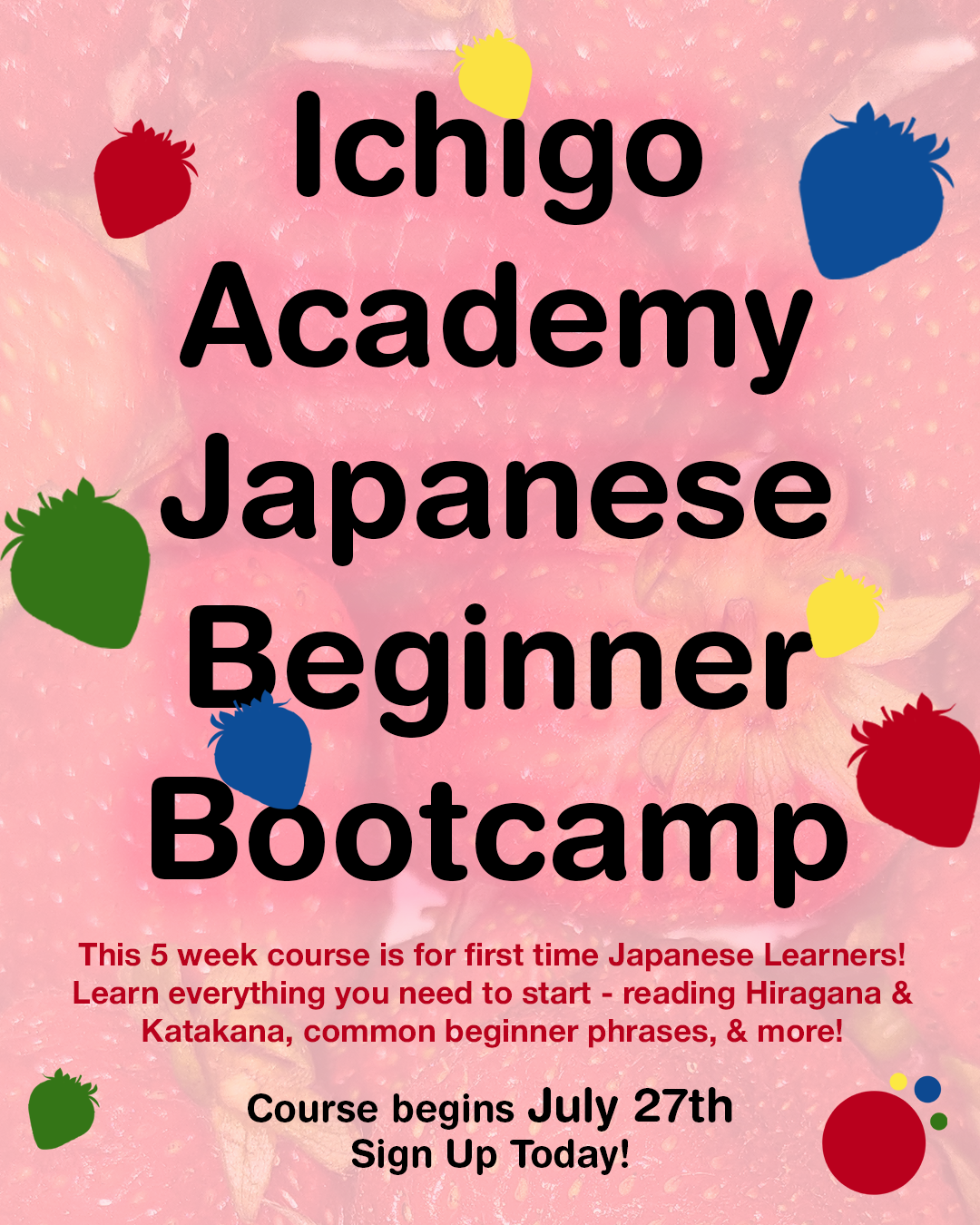 Ichigo Academy Japanese Beginner Bootcamp (Pre-Order)