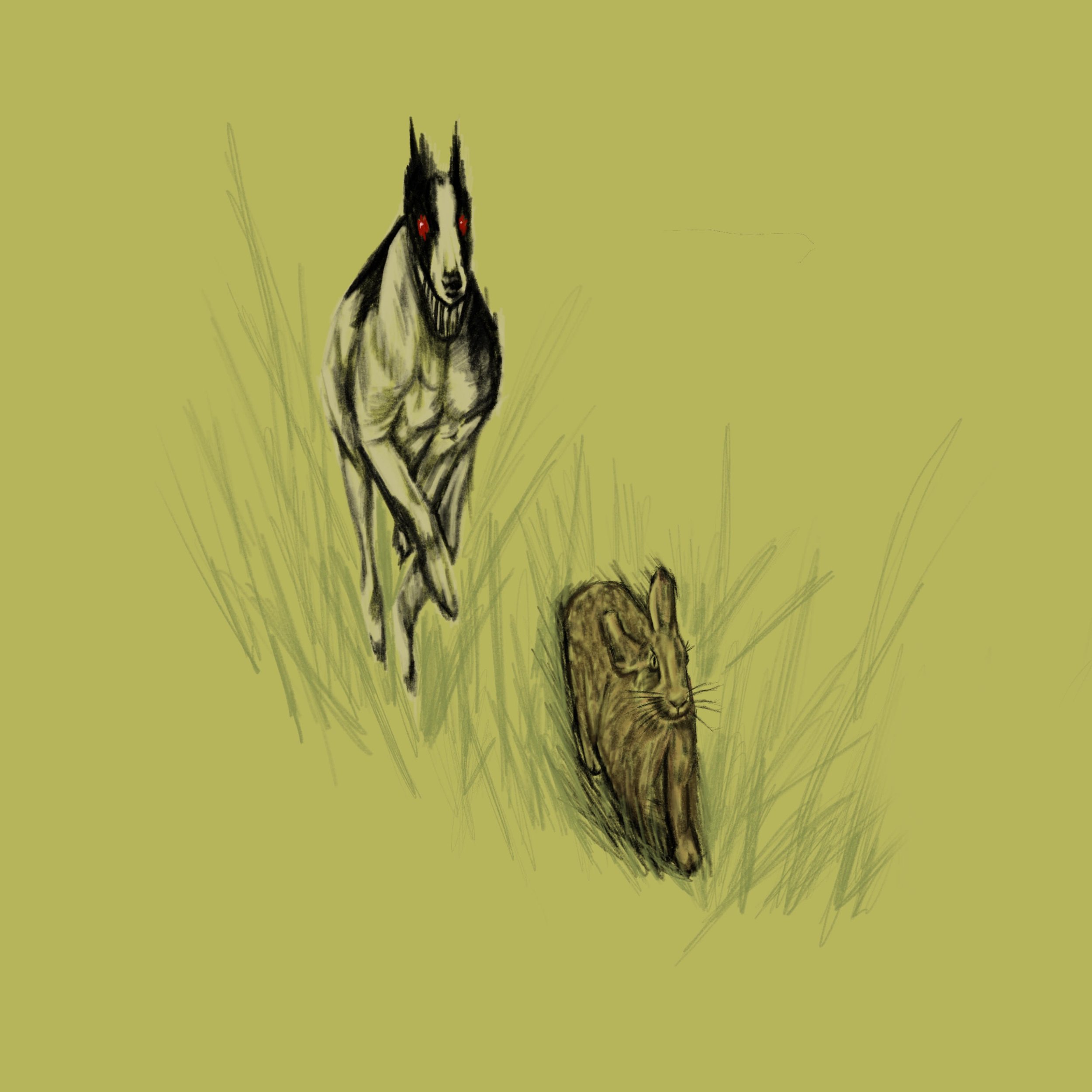 Hare's Coarse Cover Art.jpg