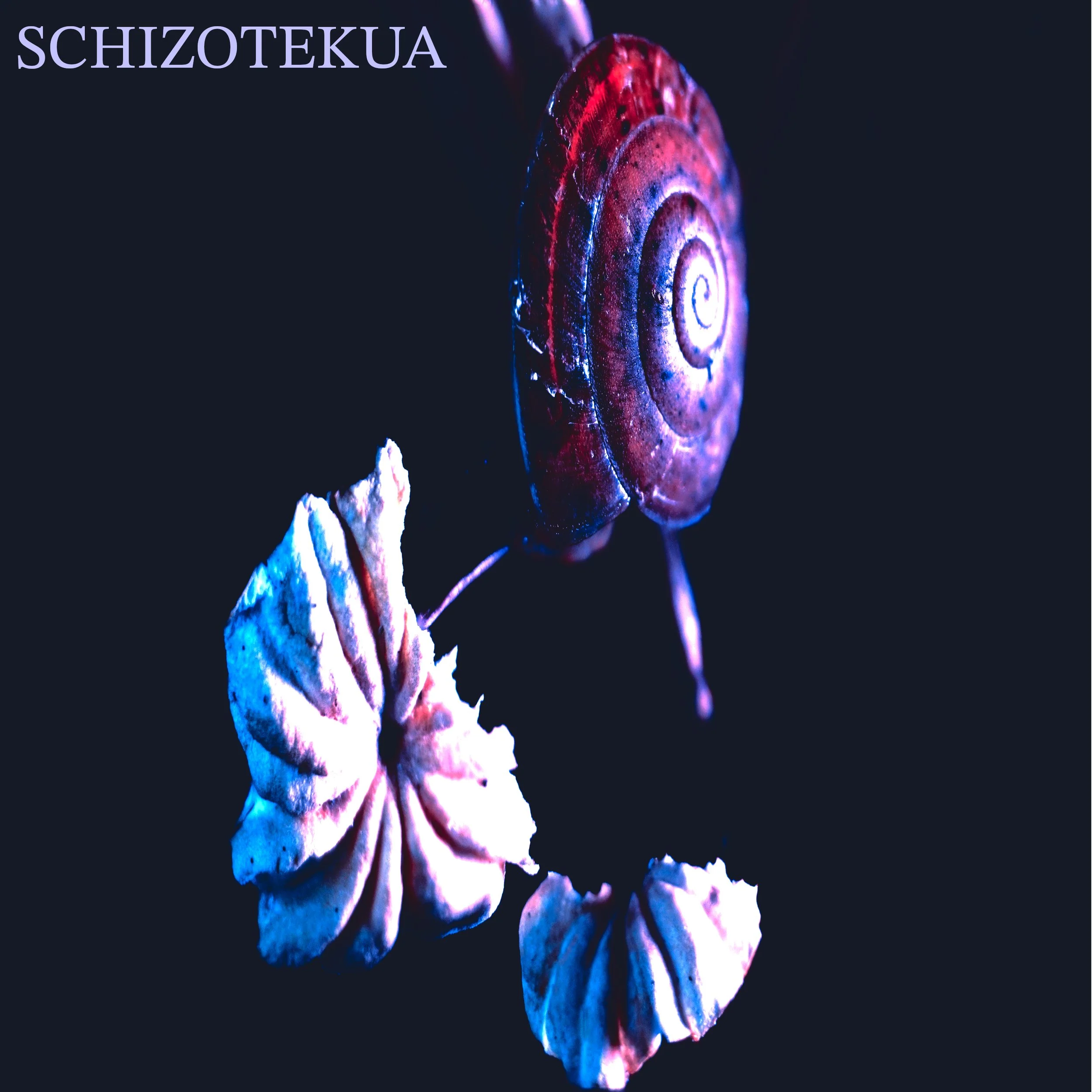 Schizotekua Cover Art.jpeg