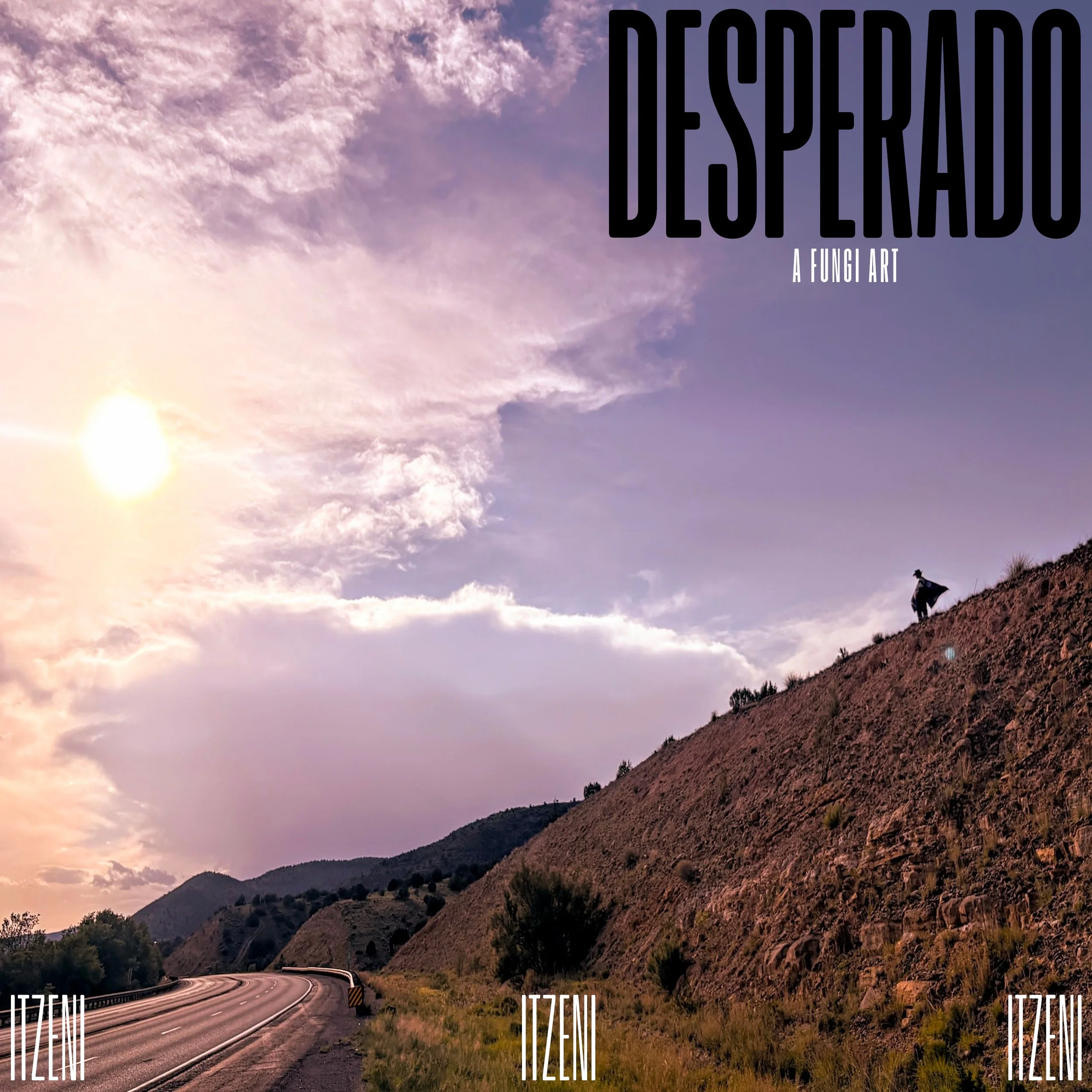 Desperado Cover Art.jpg