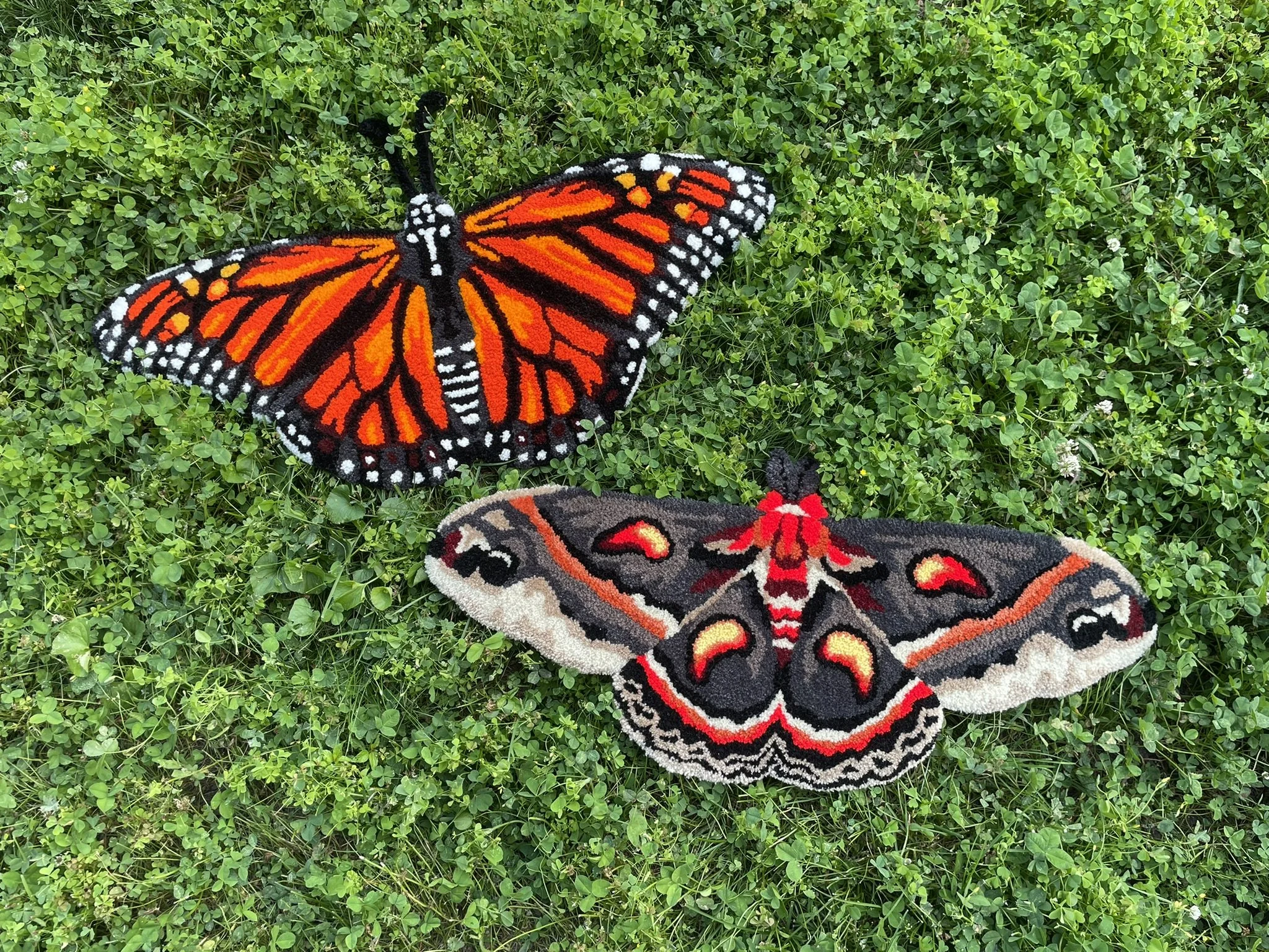 Cecropia