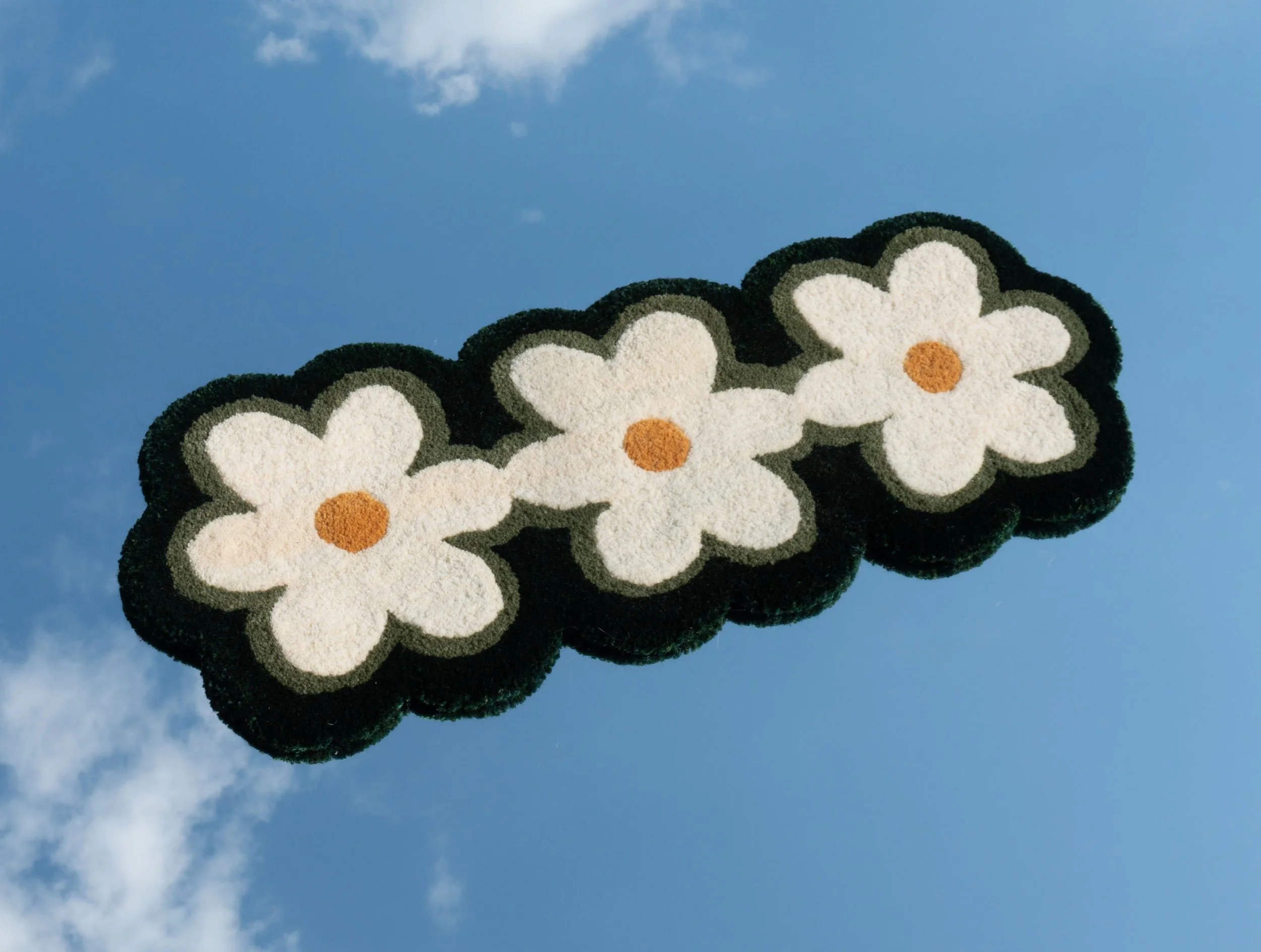 Daisy Chain sky-cropped.jpg