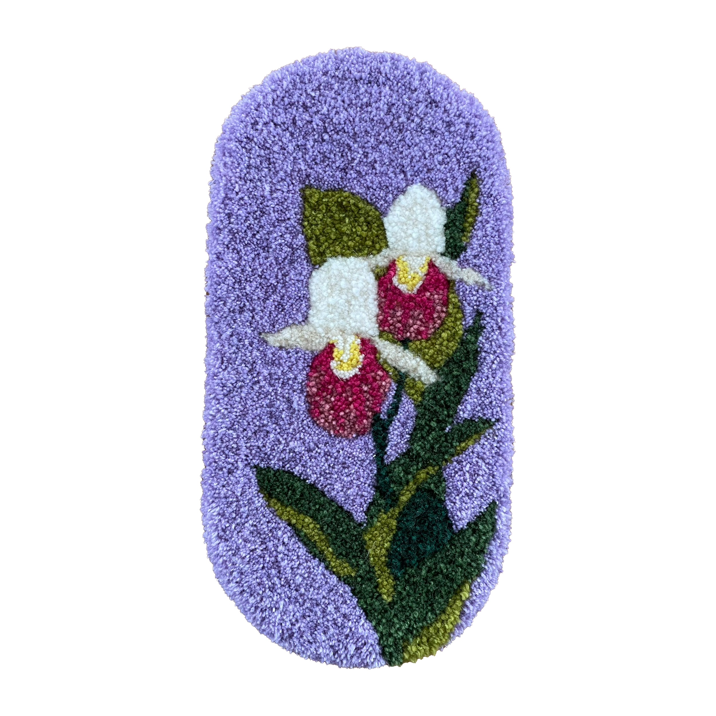 Lady's Slippers