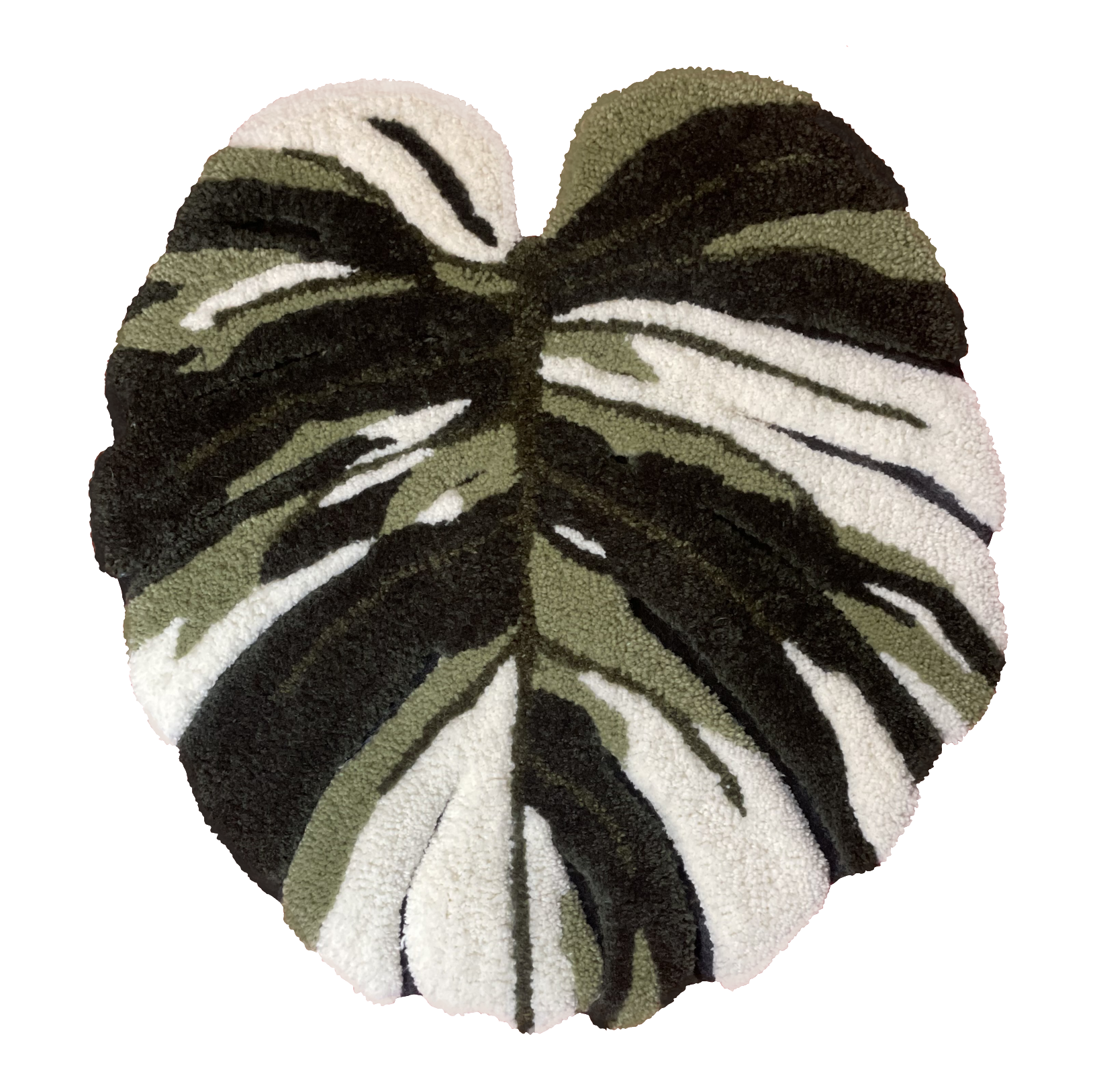 Monstera Albo
