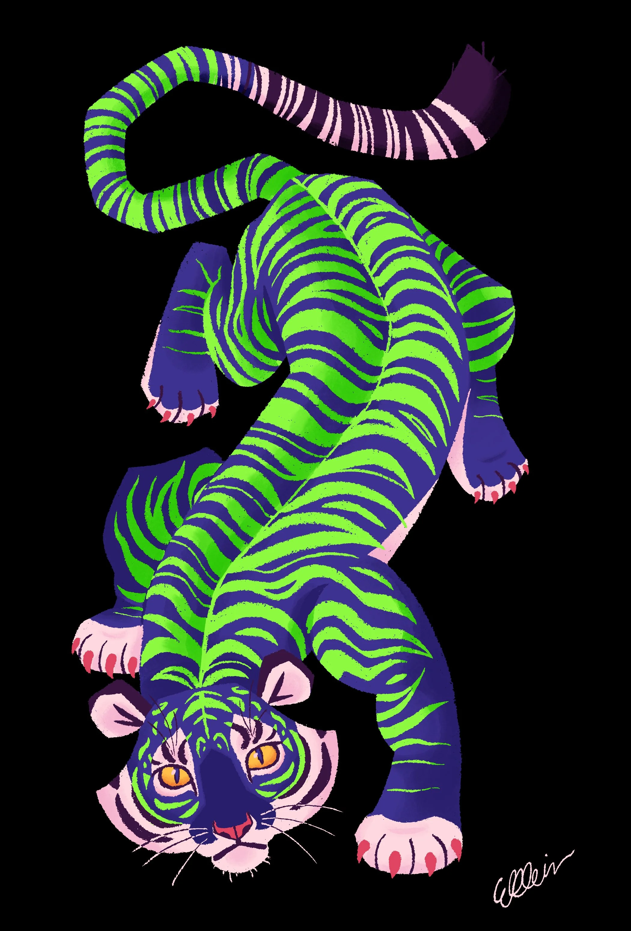 blue tiger.JPG