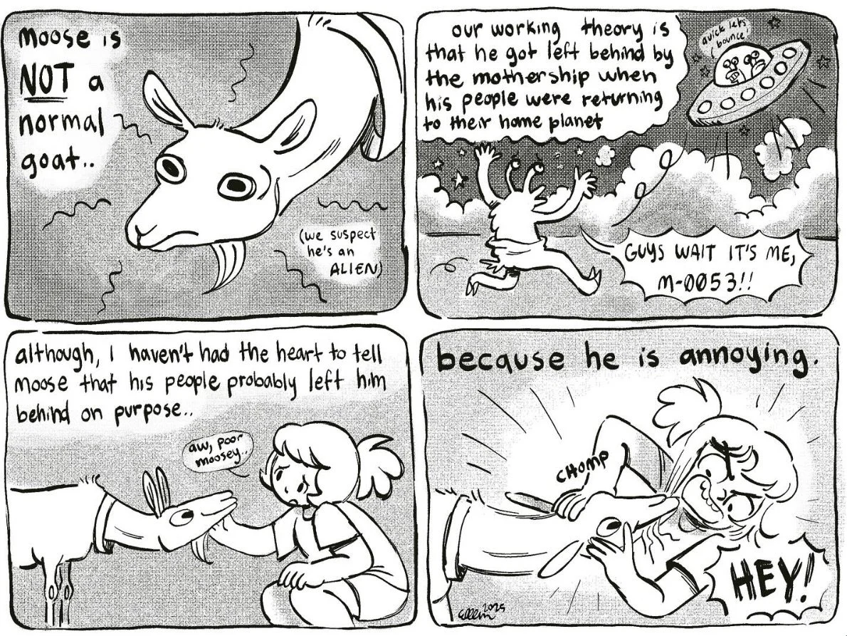 Screenshot 2025-12-16 at 8.55.06 PM.jpeg