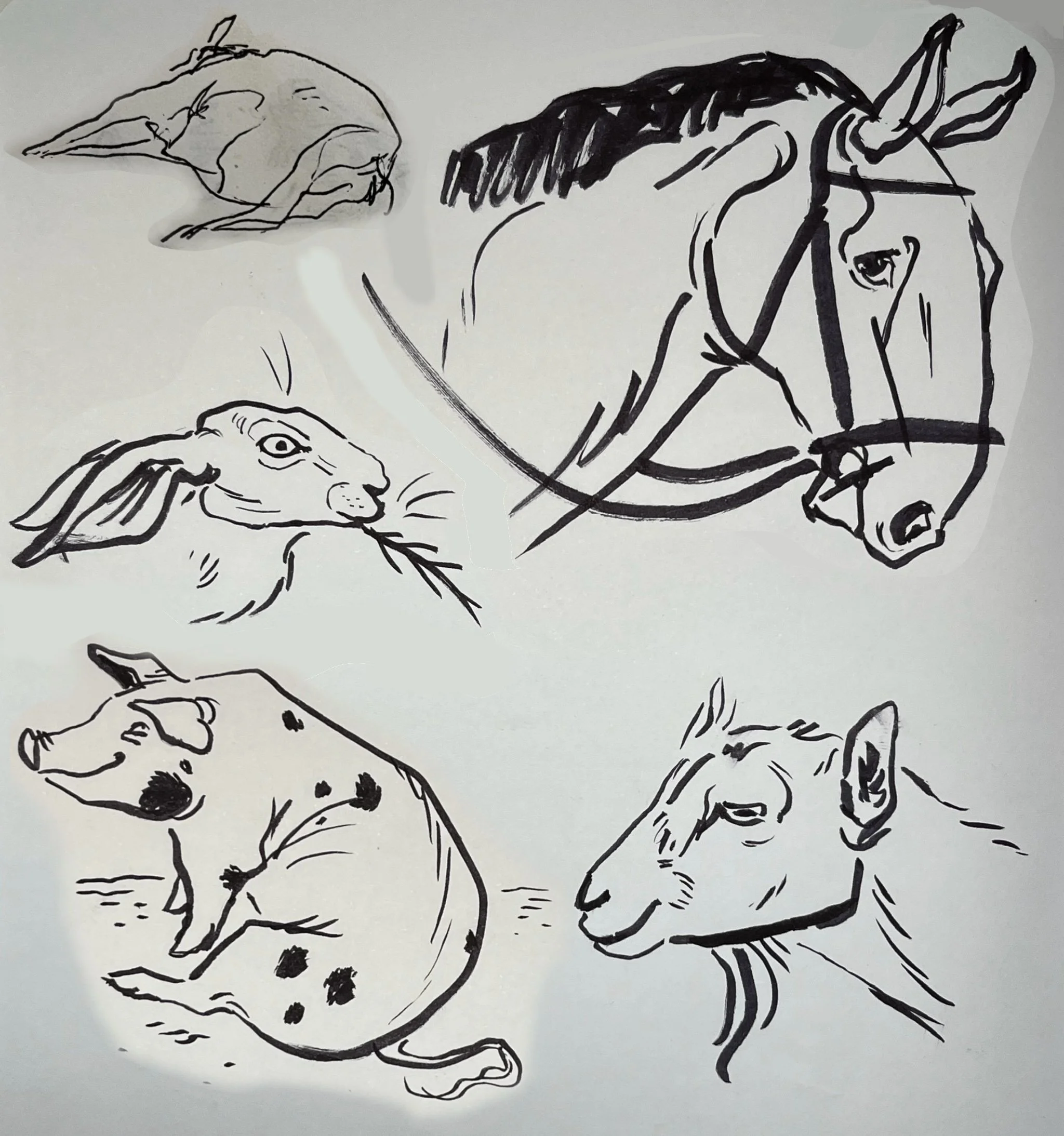 horse goat pig.jpg