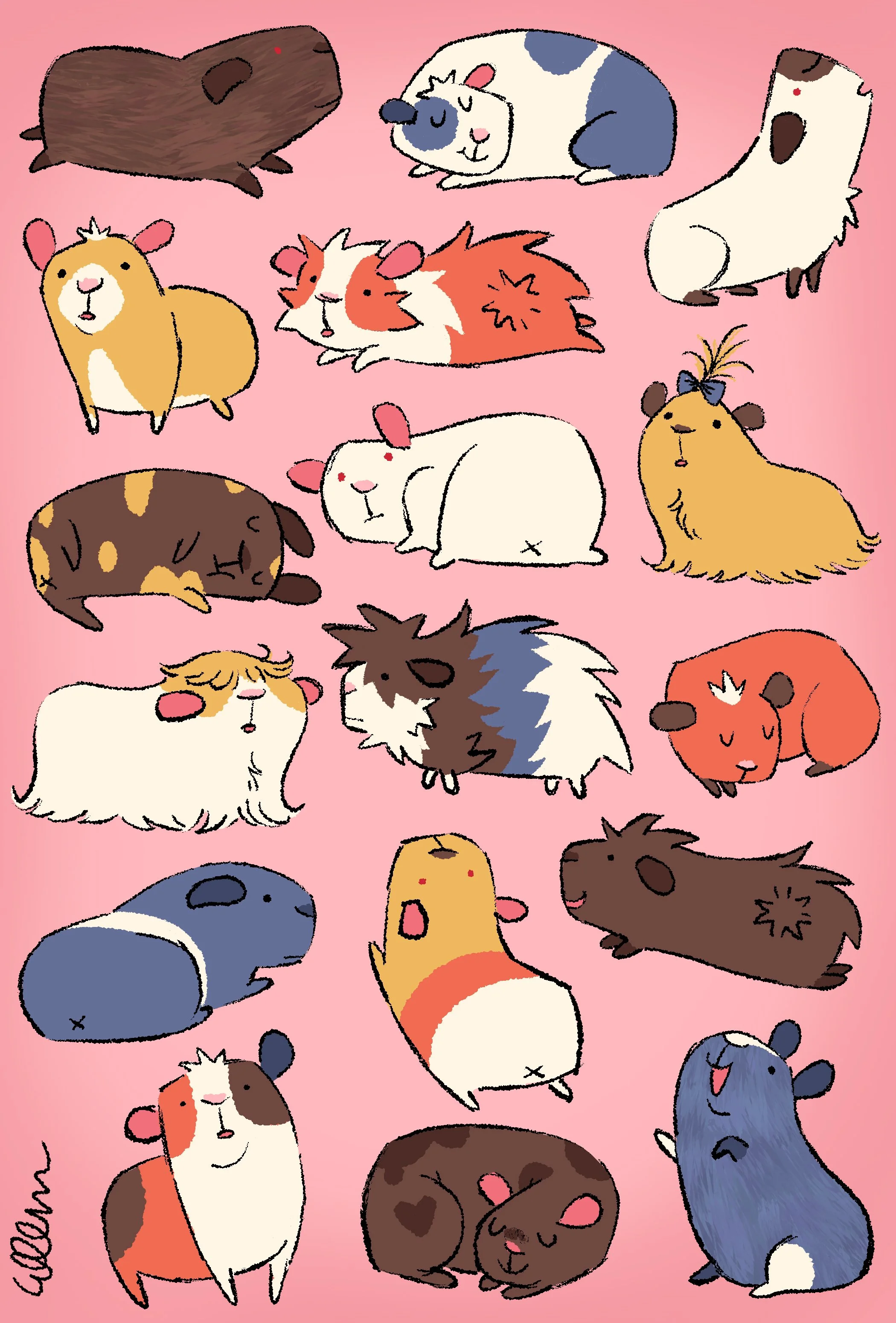 guinea pig.JPG