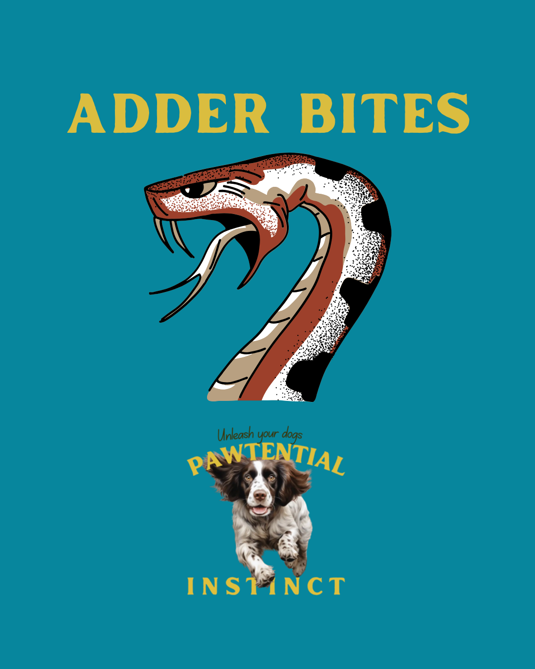 Adder Bites in Dogs: What Every UK Dog Owner Needs to Know