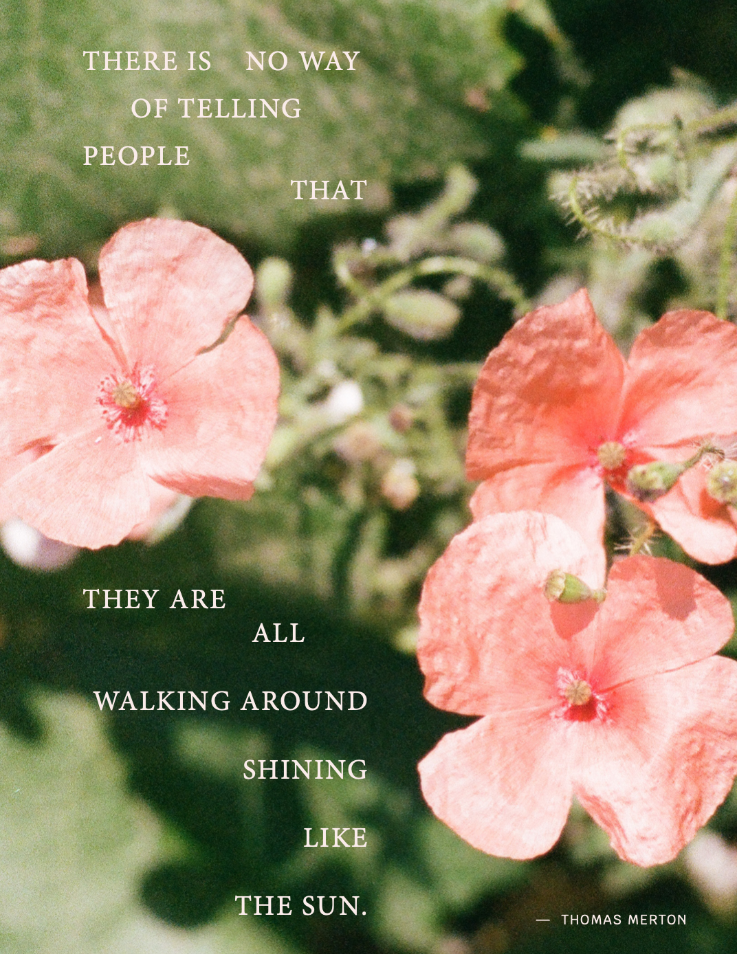 Screen Shot 2025-06-07 at 4.00.11 PM.png