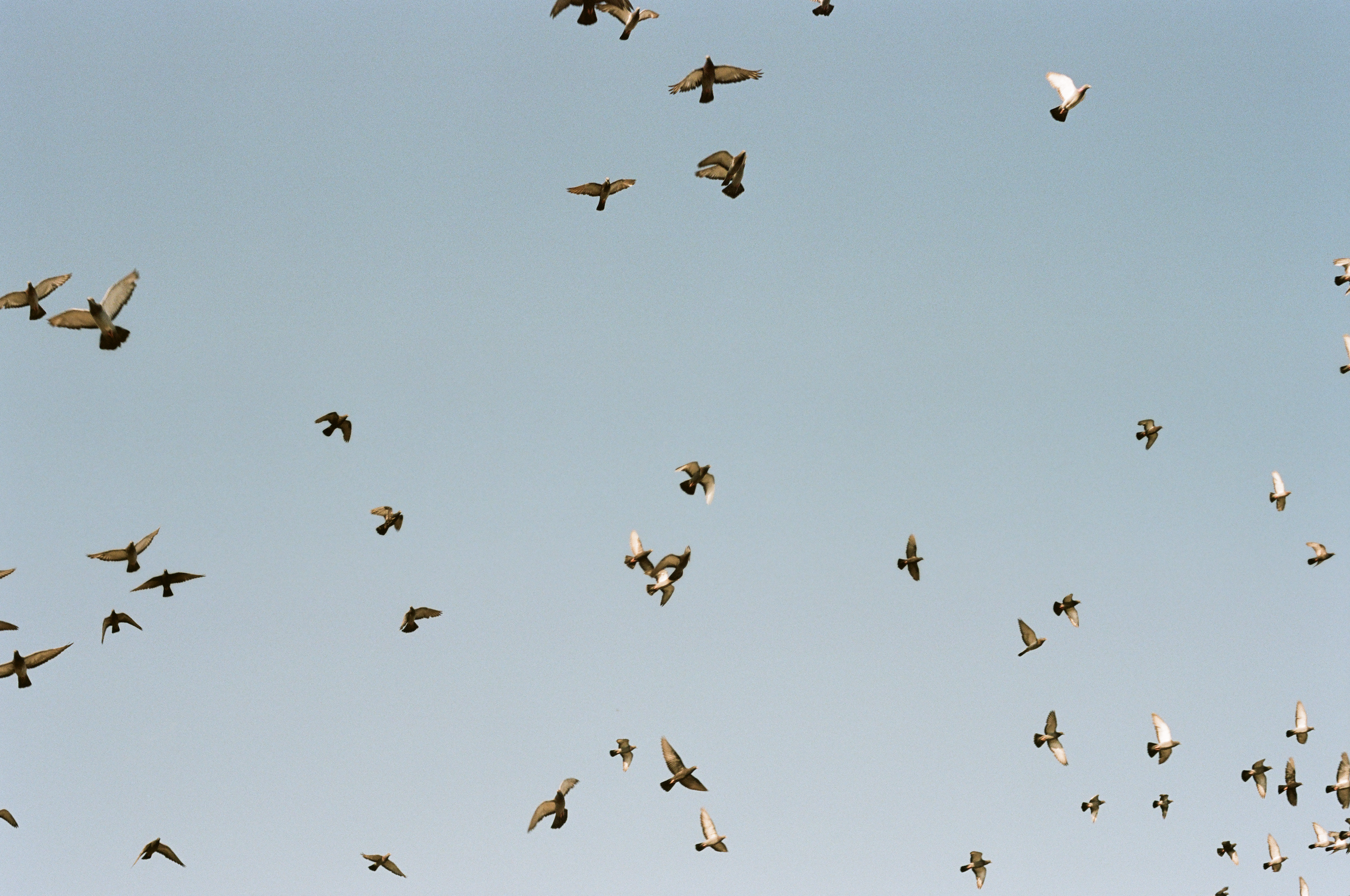 Screen Shot 2025-02-28 at 12.50.39 PM.png