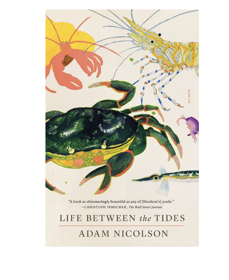 Life Between the Tides, Adam Nicolson