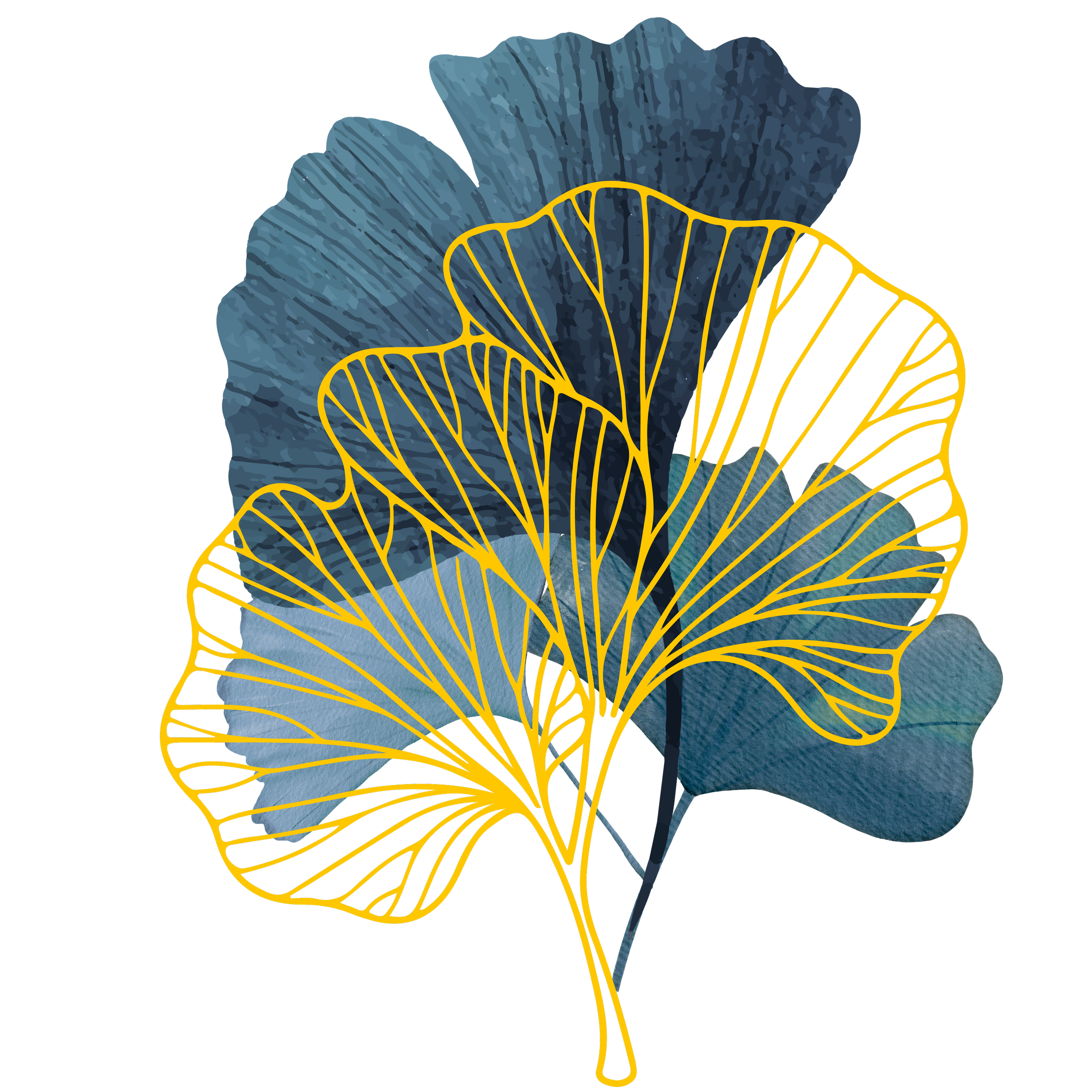 A digital overlay of a ginkgo leaf with golden outline on top of a real ginkgo leaf with blue-green color, set against a black background.