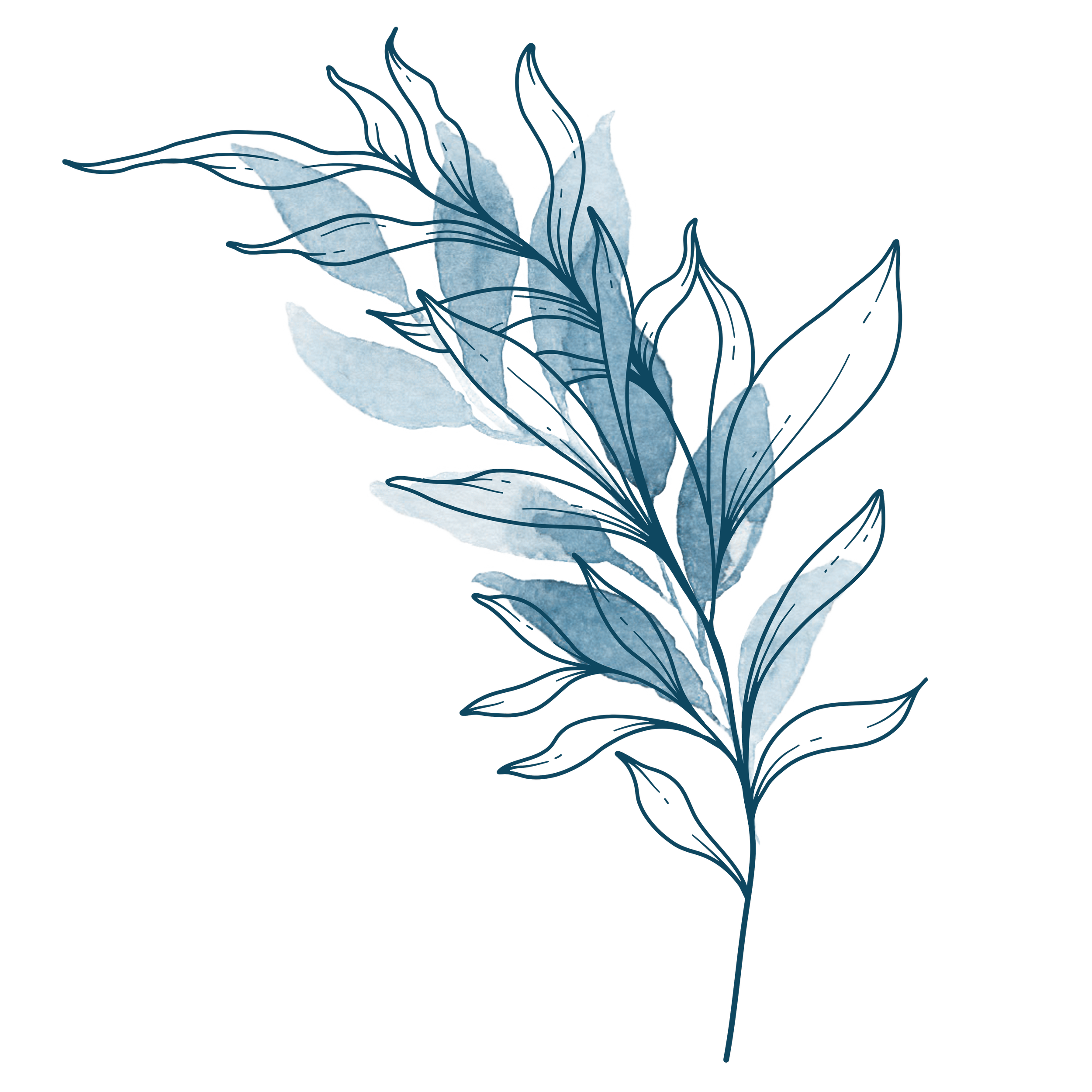 A stylized illustration of a blue and black leafy plant with detailed line work and watercolour effects.