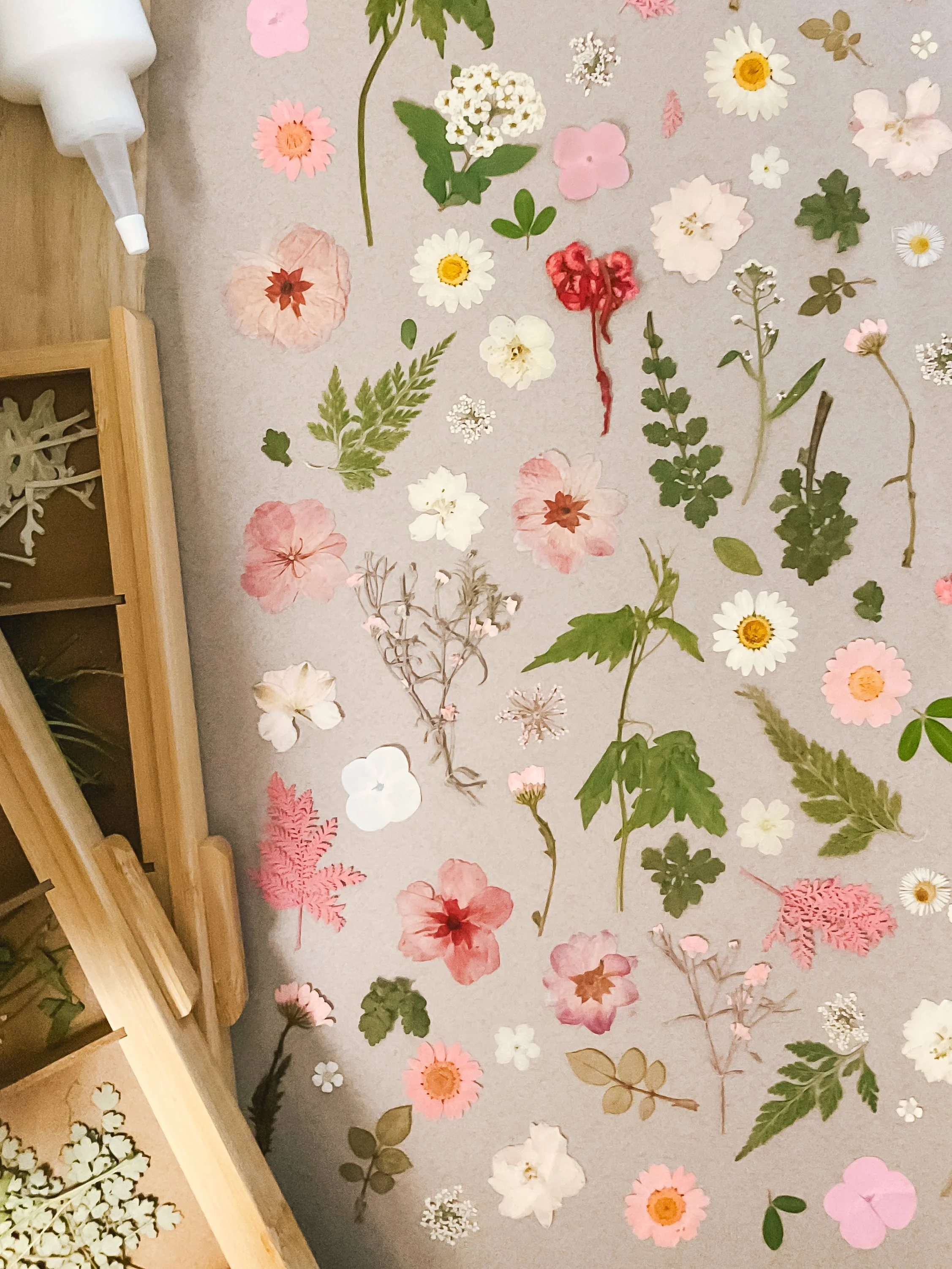 A piece of paper covered with colorful pressed floral and leaf arrangements, including daisies, pink and white flowers, and green leaves, with part of a wooden shelf and a table visible in the corner.