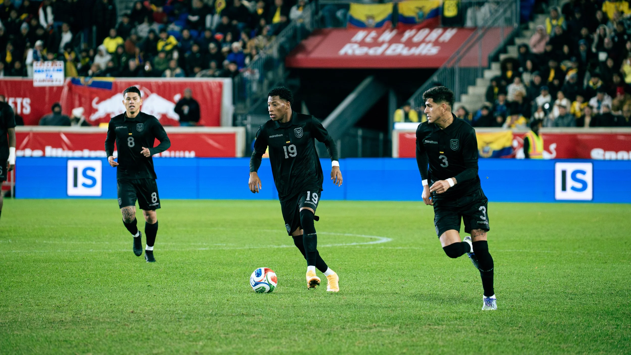 WORLD CUP READY: Ecuador vs New Zealand