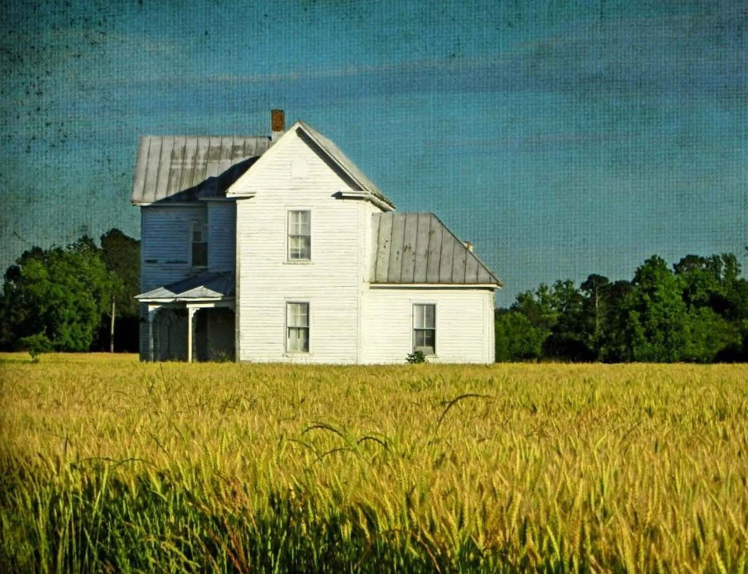 Frances Elizabeth Daniel (1844-1911)