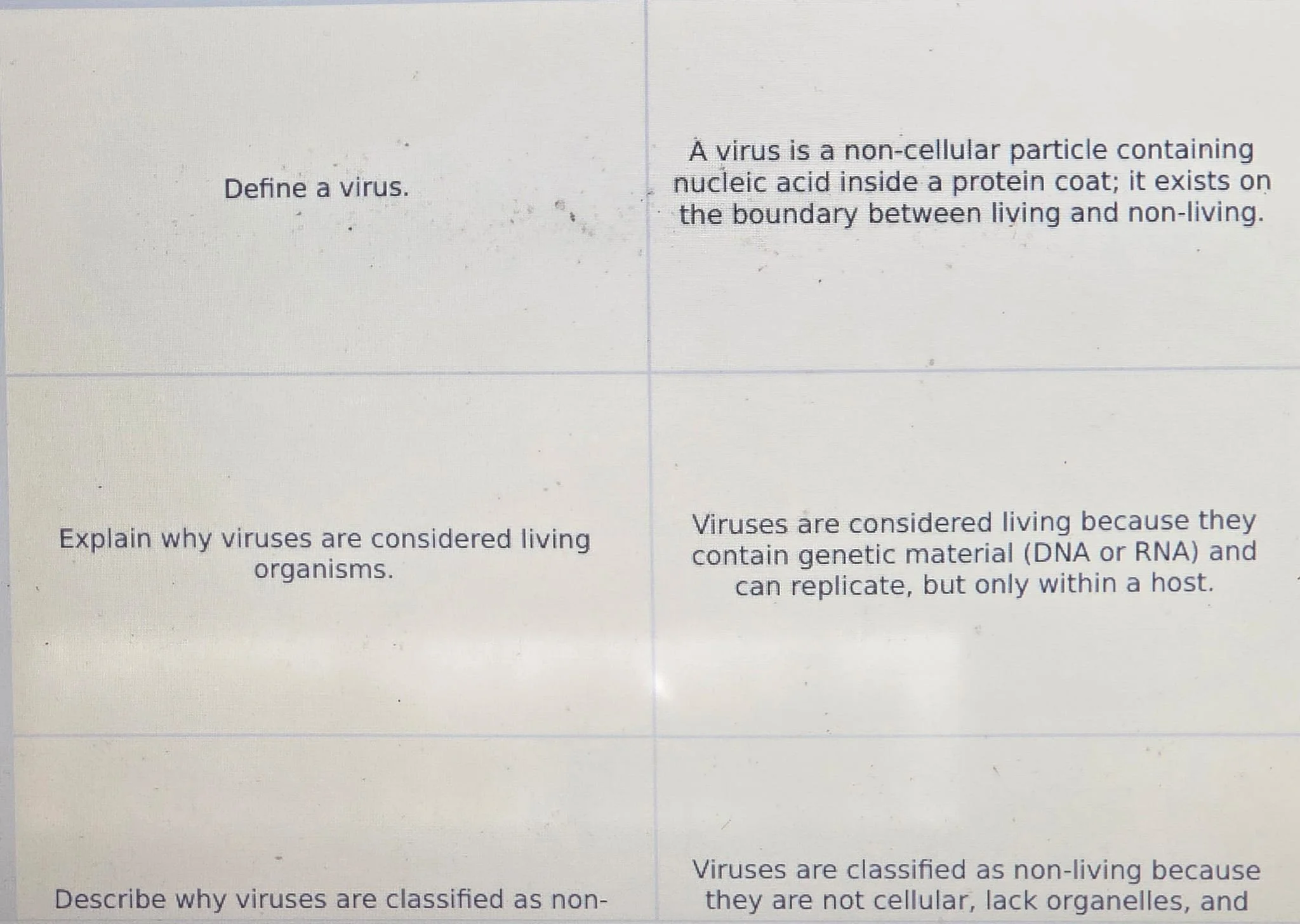 WhatsApp Image 2025-12-12 at 21.40.23 (1).jpeg