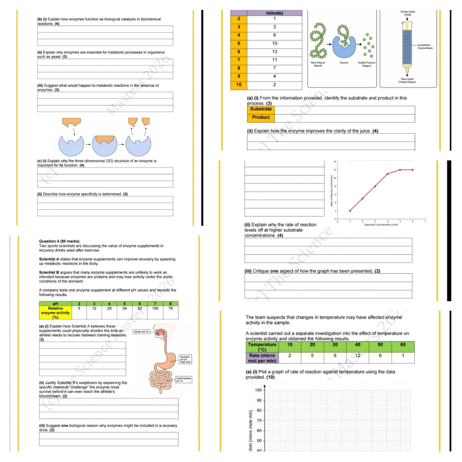 WhatsApp Image 2026-04-23 at 11.48.41.jpeg