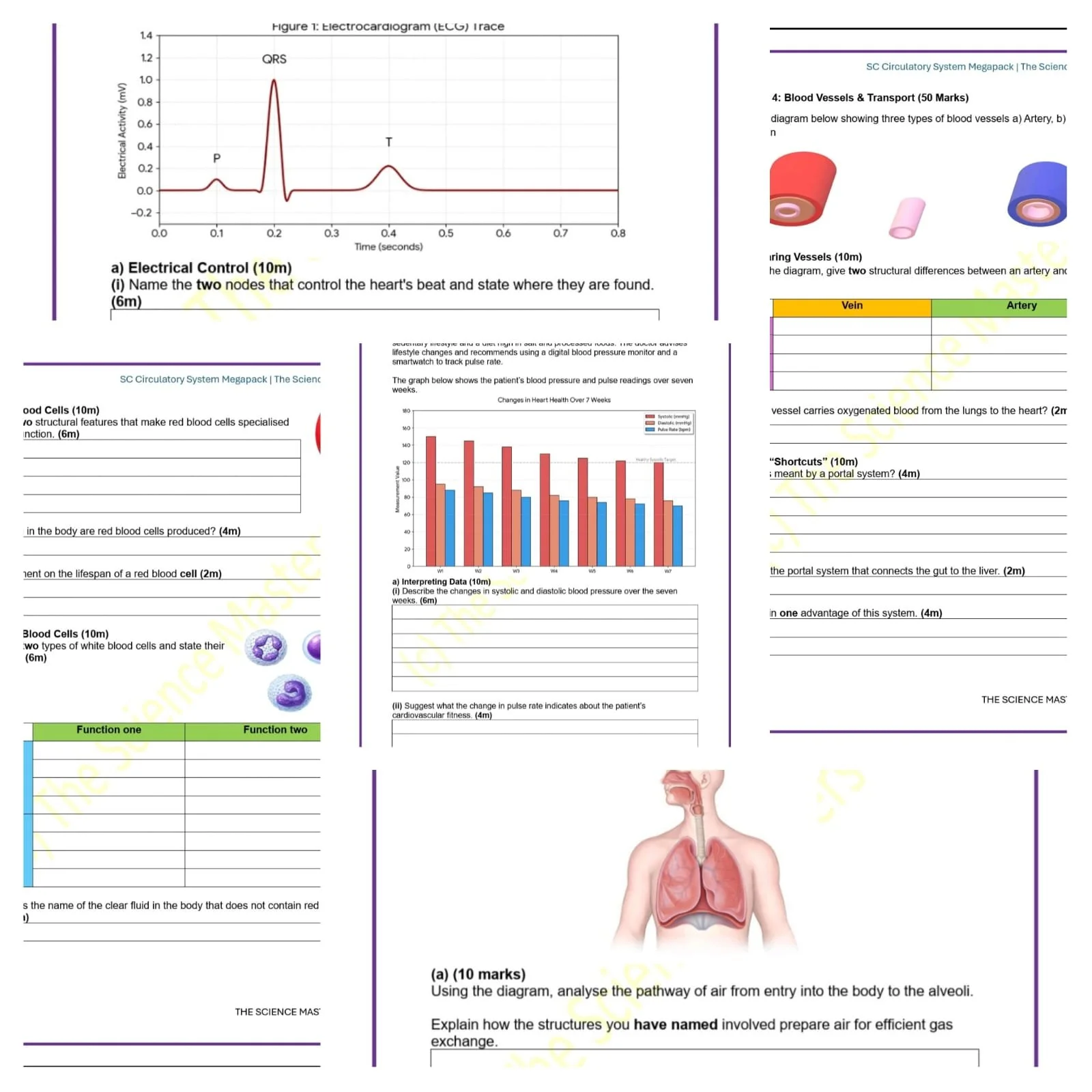 WhatsApp Image 2026-04-23 at 11.48.41 (3).jpeg