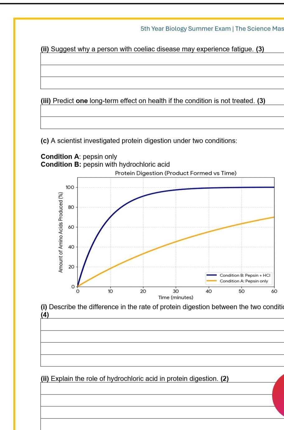 WhatsApp Image 2026-04-13 at 00.34.16 (1).jpeg