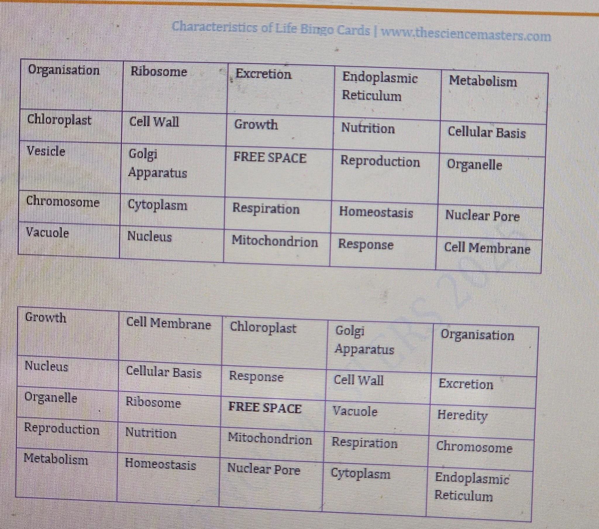 WhatsApp Image 2025-11-30 at 23.09.03.jpeg