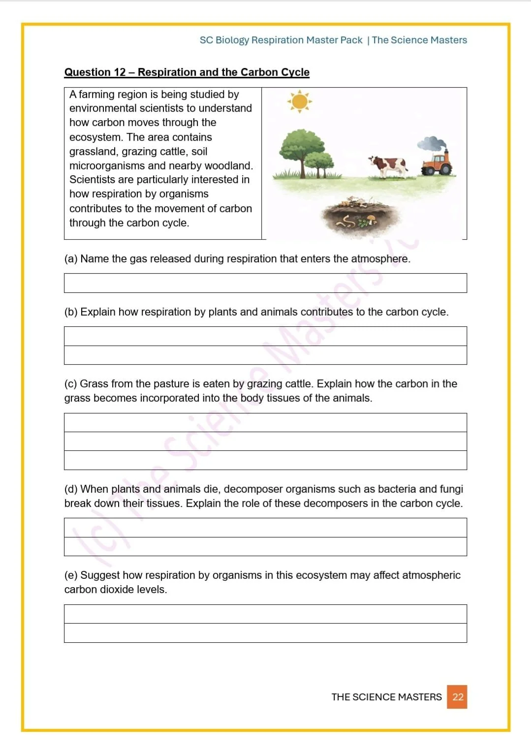 WhatsApp Image 2026-03-10 at 00.03.59 (3).jpeg