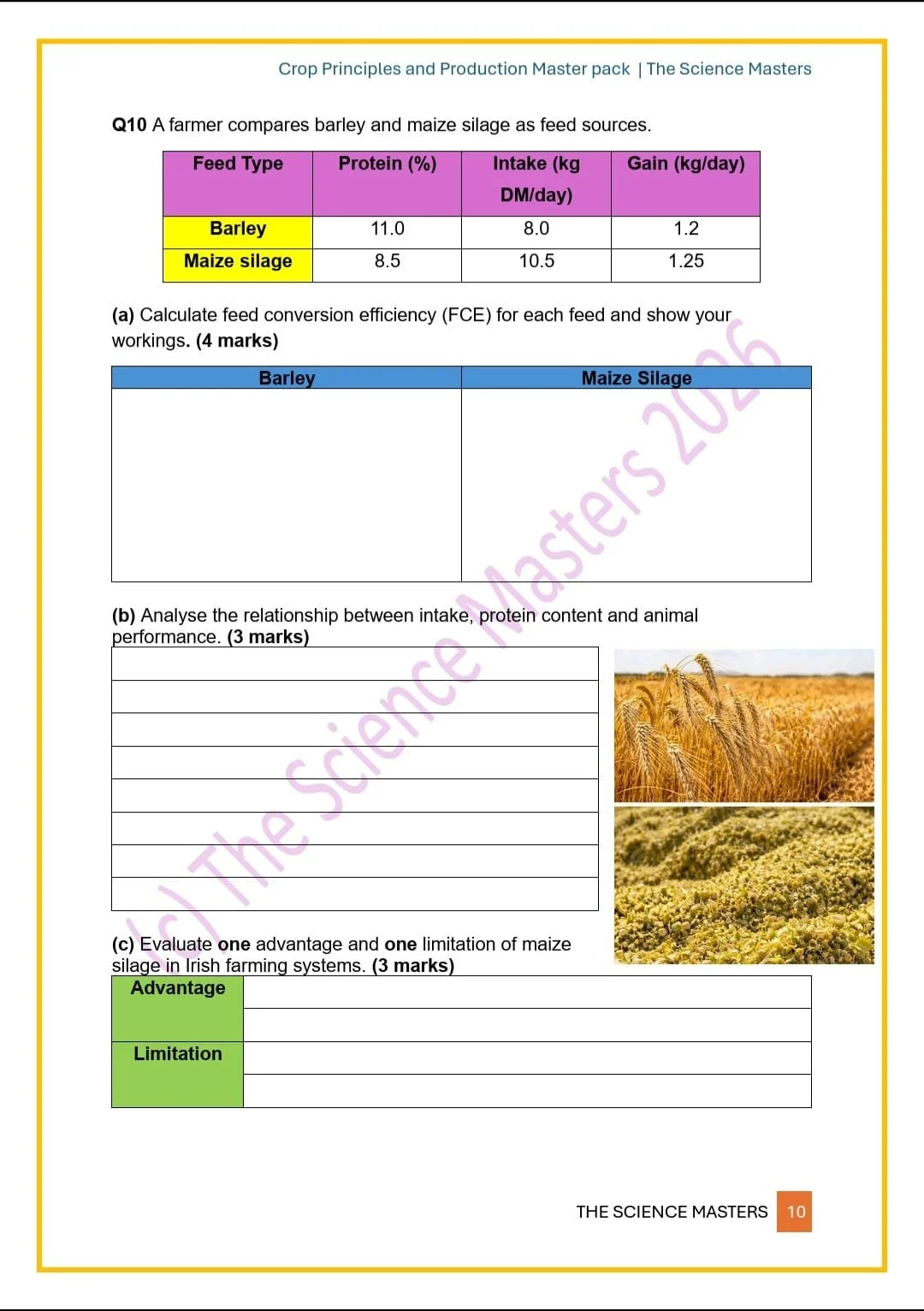 WhatsApp Image 2026-04-04 at 23.15.56 (2).jpeg