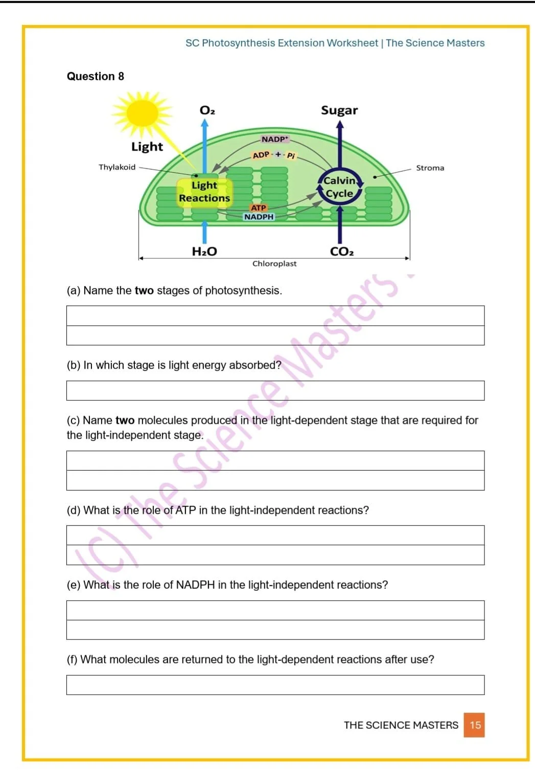 WhatsApp Image 2026-03-11 at 23.37.29.jpeg