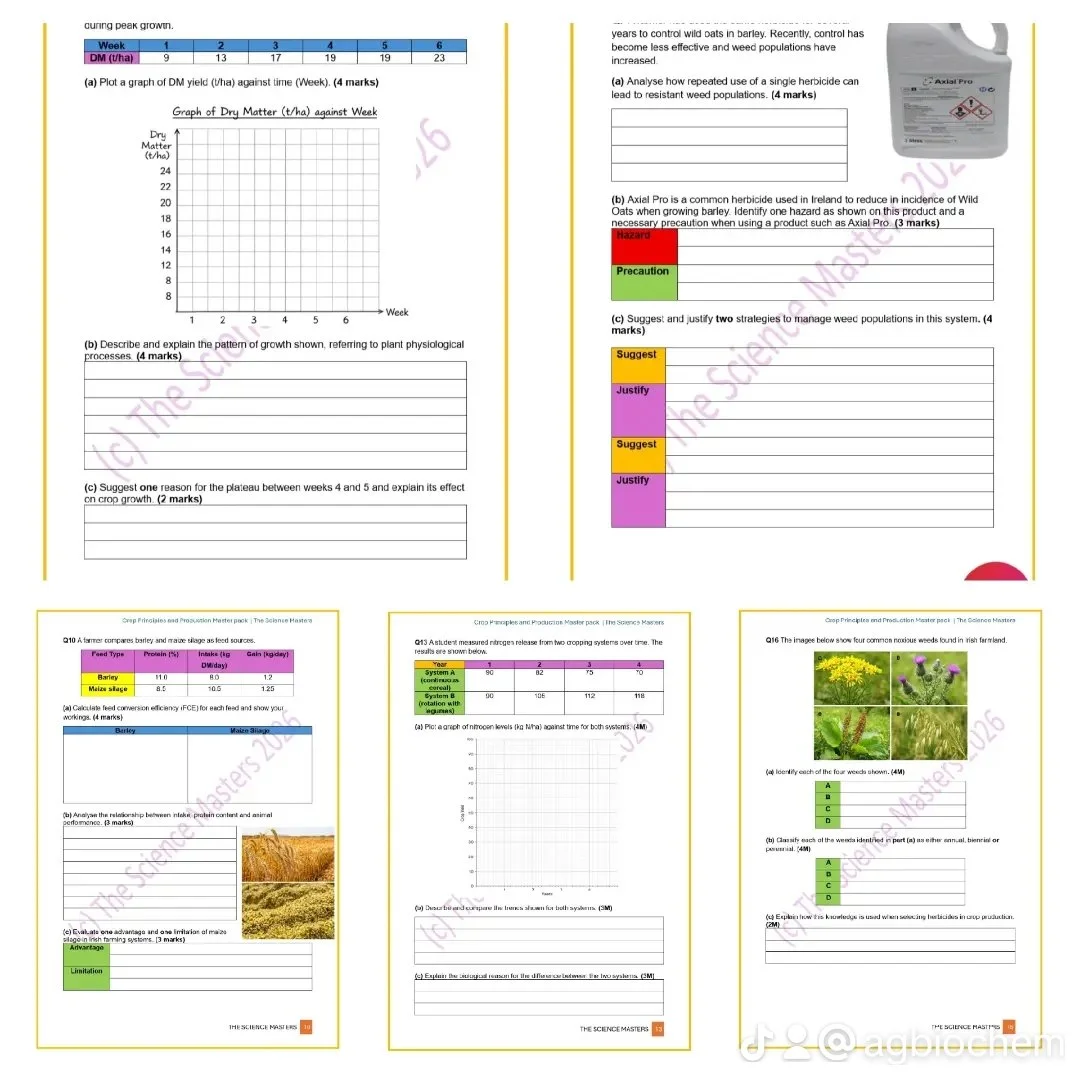 WhatsApp Image 2026-04-23 at 11.48.41 (5).jpeg