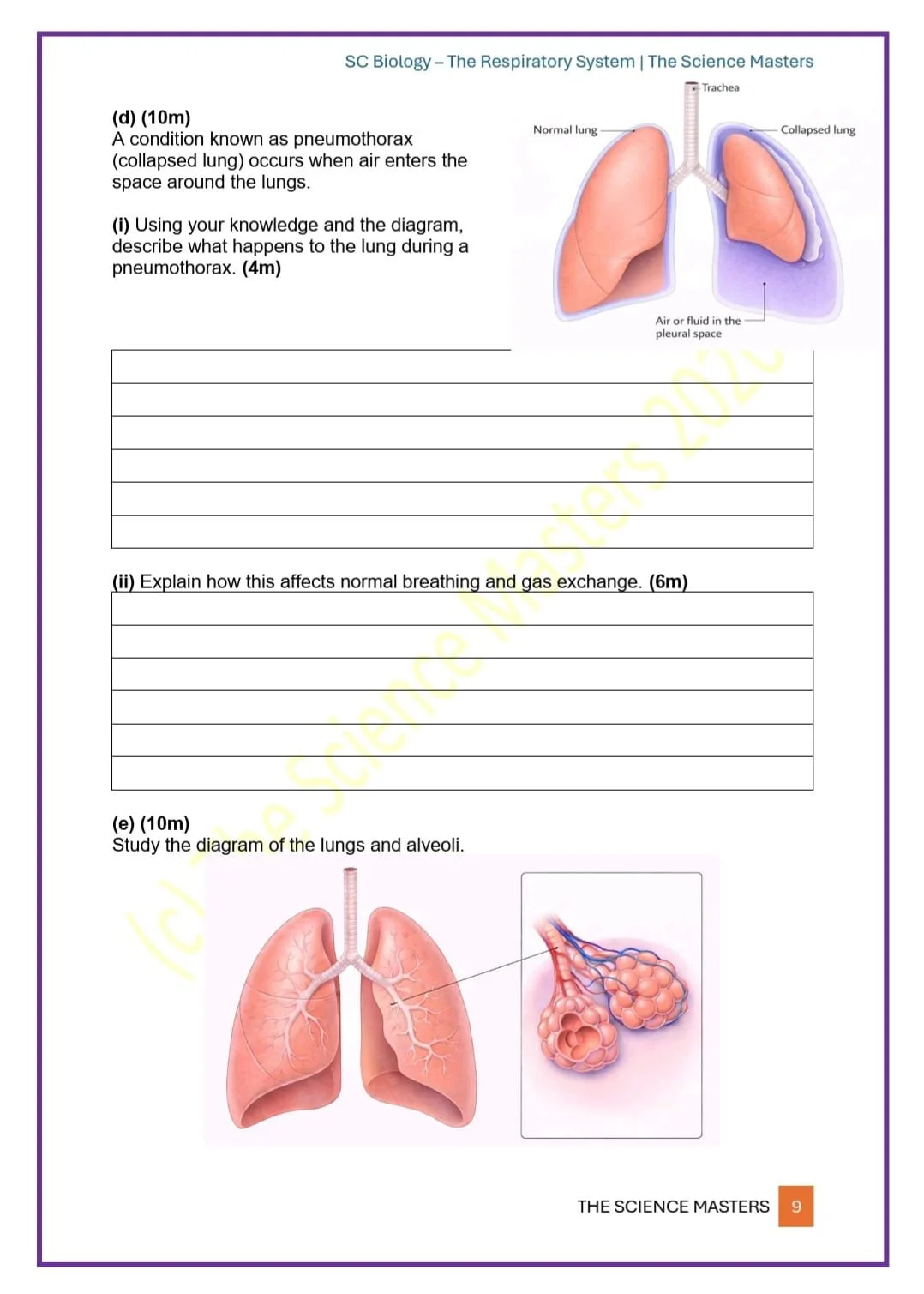 WhatsApp Image 2026-04-07 at 01.20.26 (2).jpeg