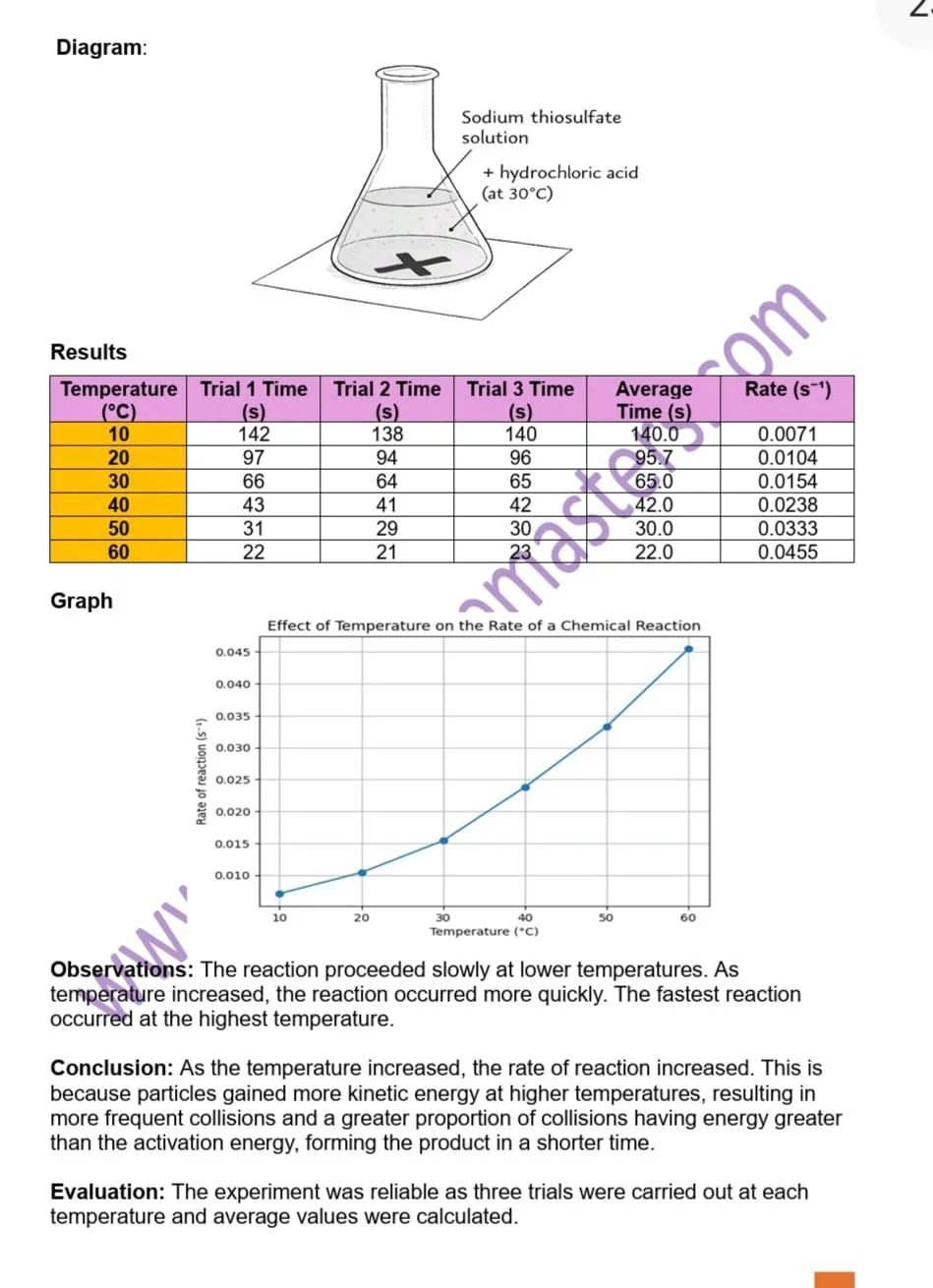 WhatsApp Image 2026-02-08 at 01.11.57 (3).jpeg