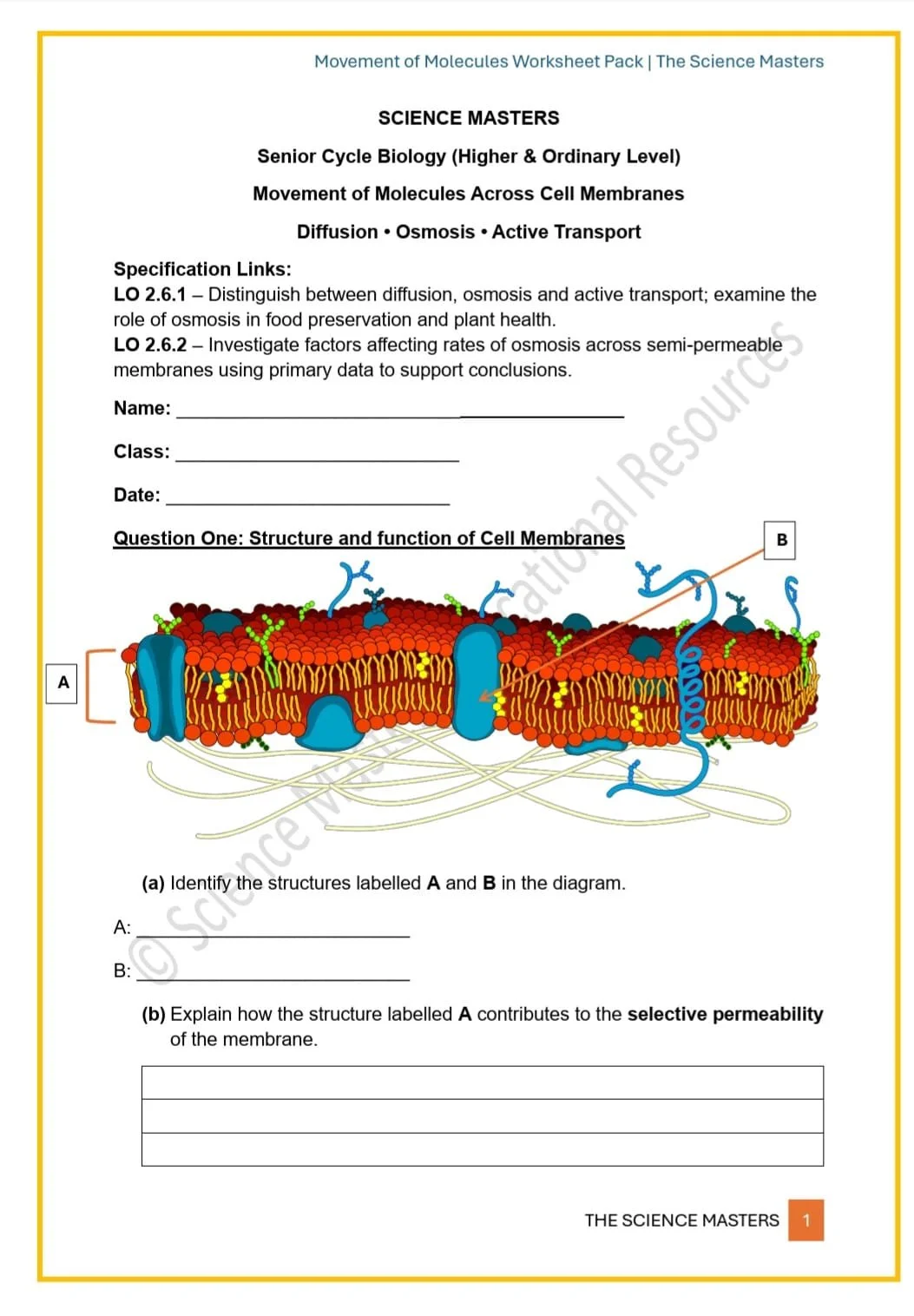 WhatsApp Image 2026-03-07 at 22.55.15.jpeg