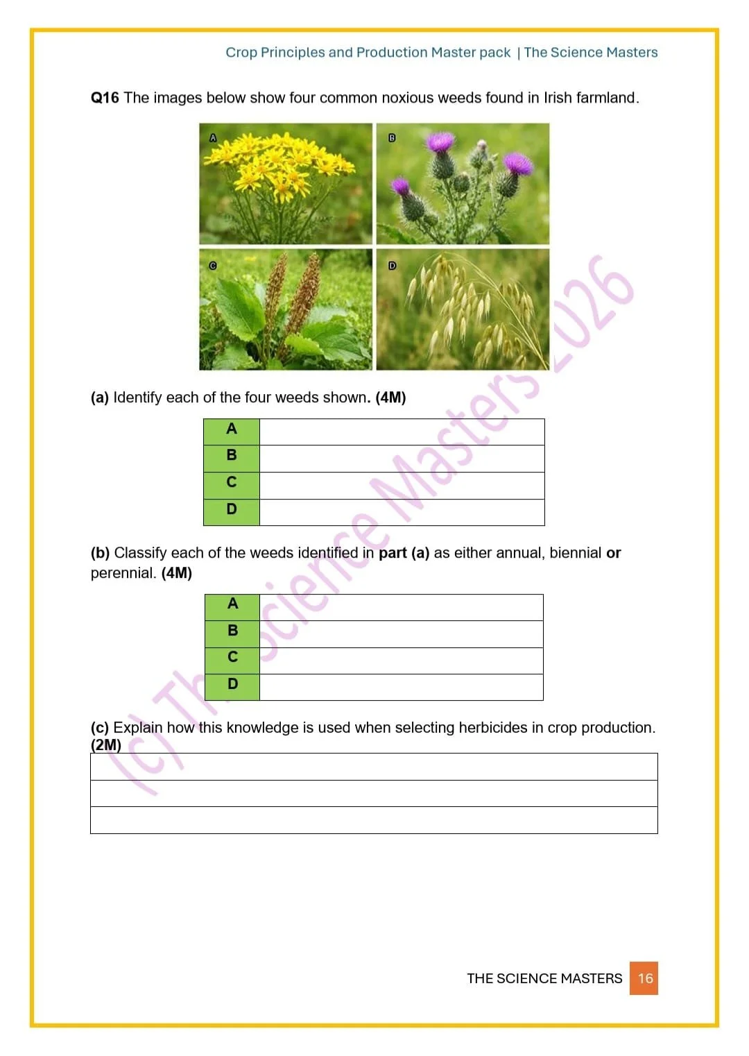 WhatsApp Image 2026-04-04 at 23.15.56 (4).jpeg