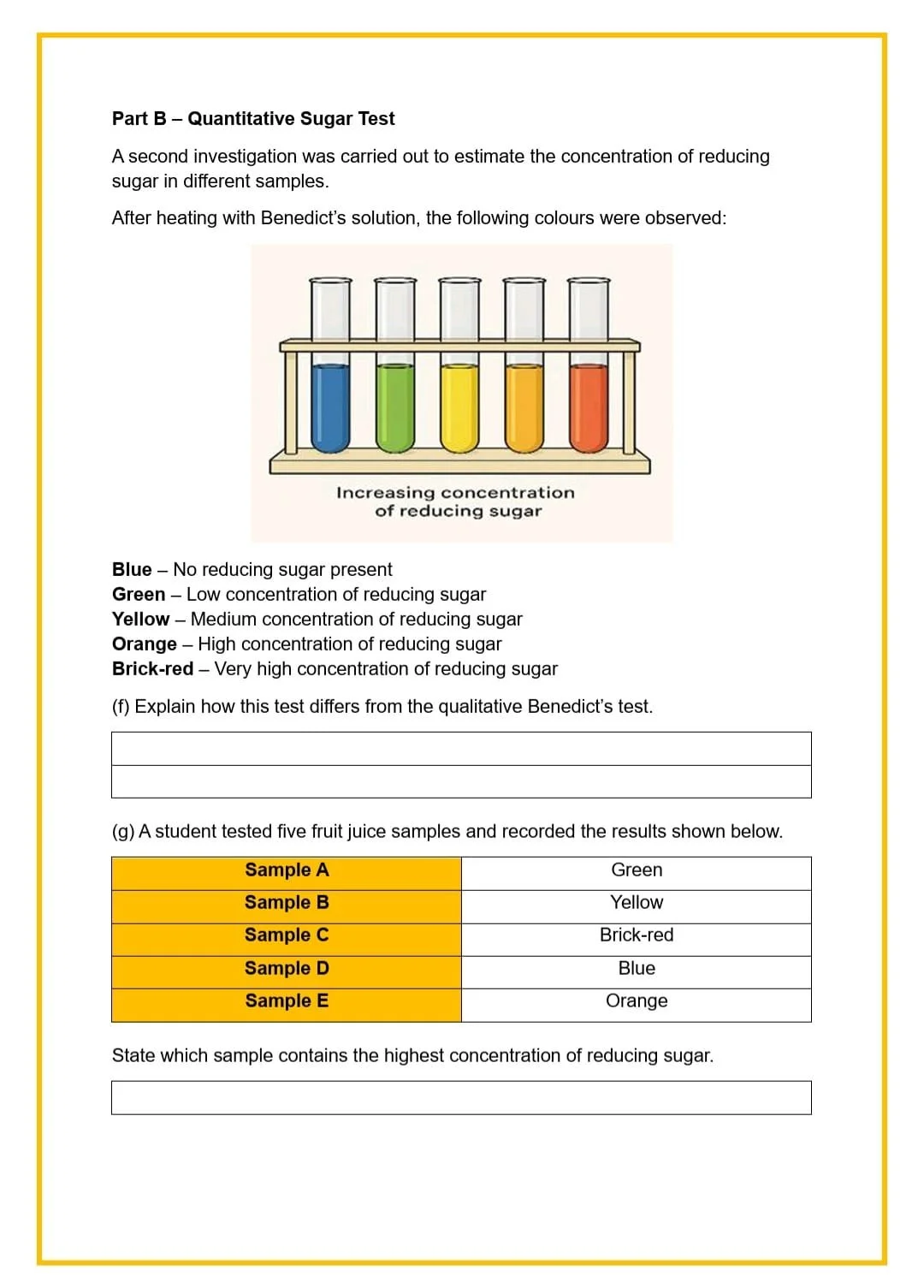 WhatsApp Image 2026-03-12 at 18.37.02 (4).jpeg